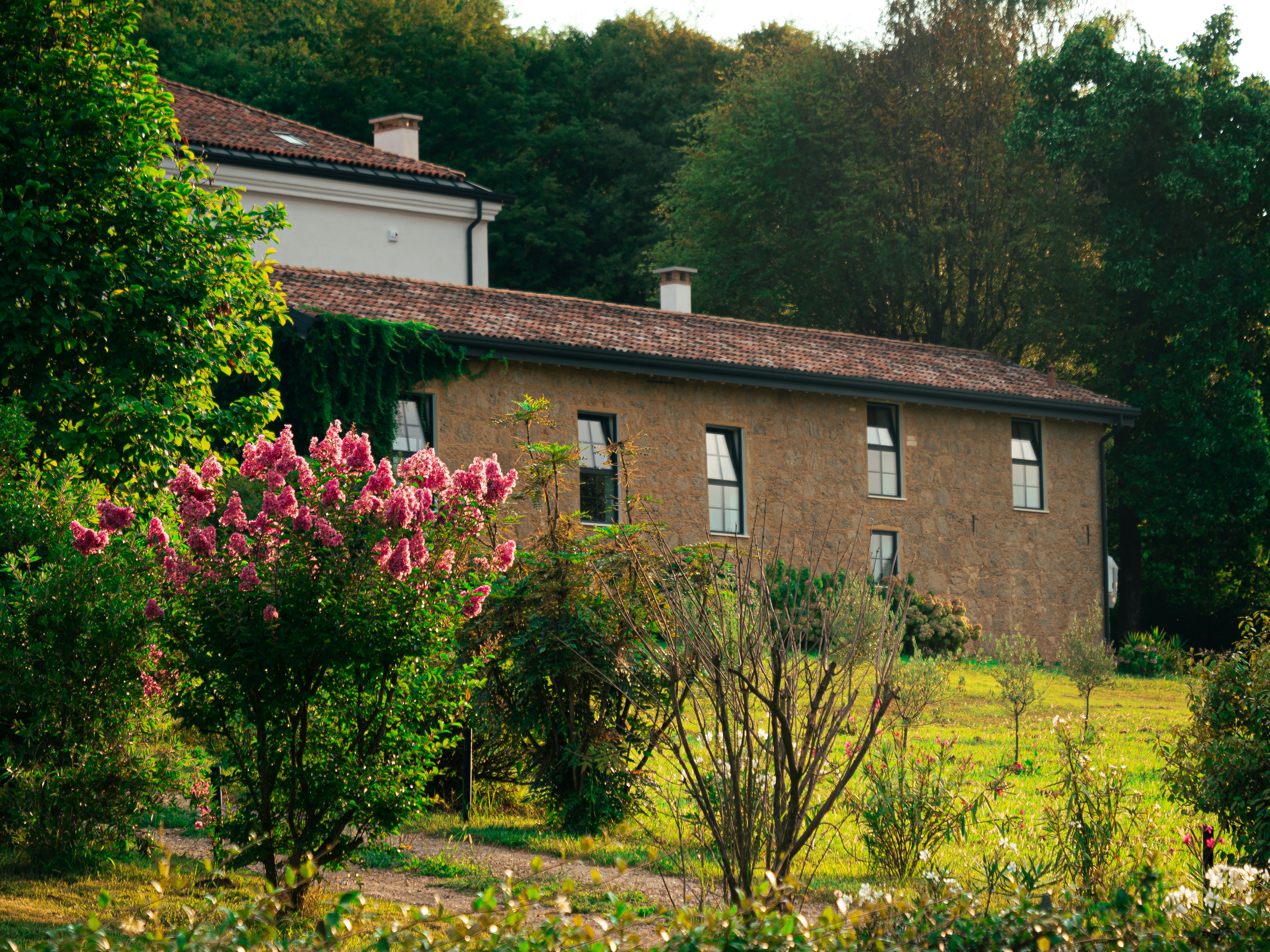 Photo by eliamassignan