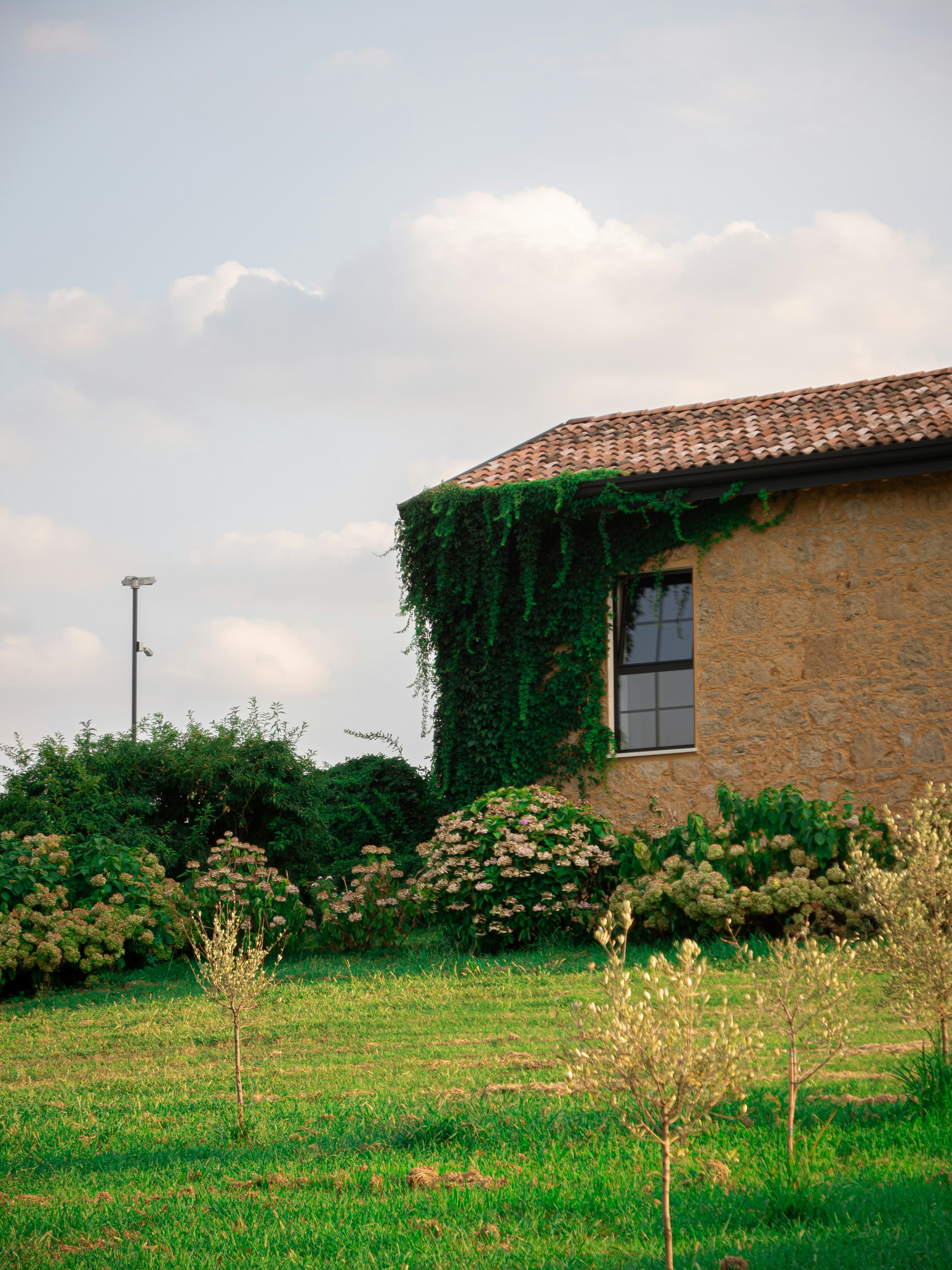 Photo by eliamassignan