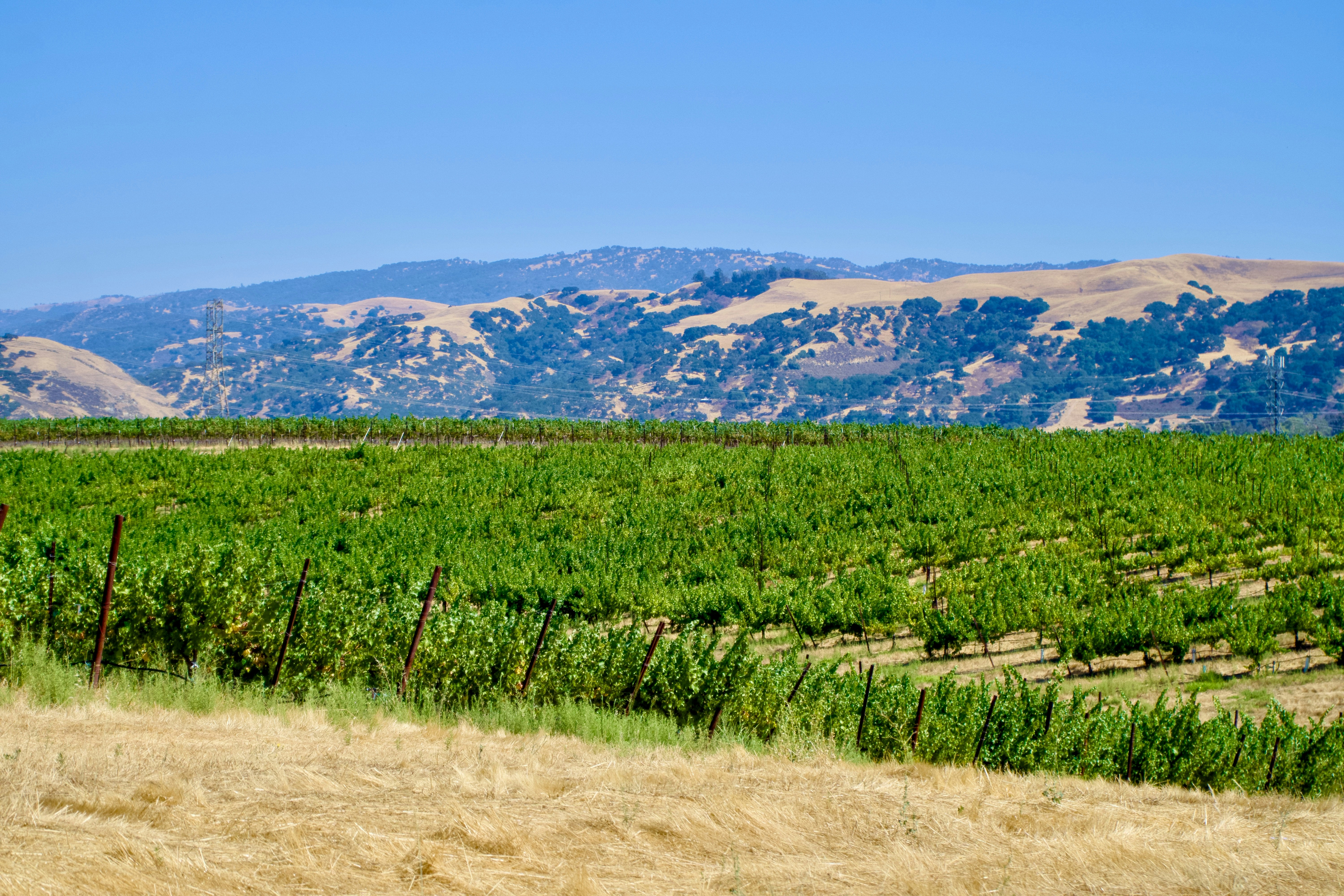 Photo by spencer_demera