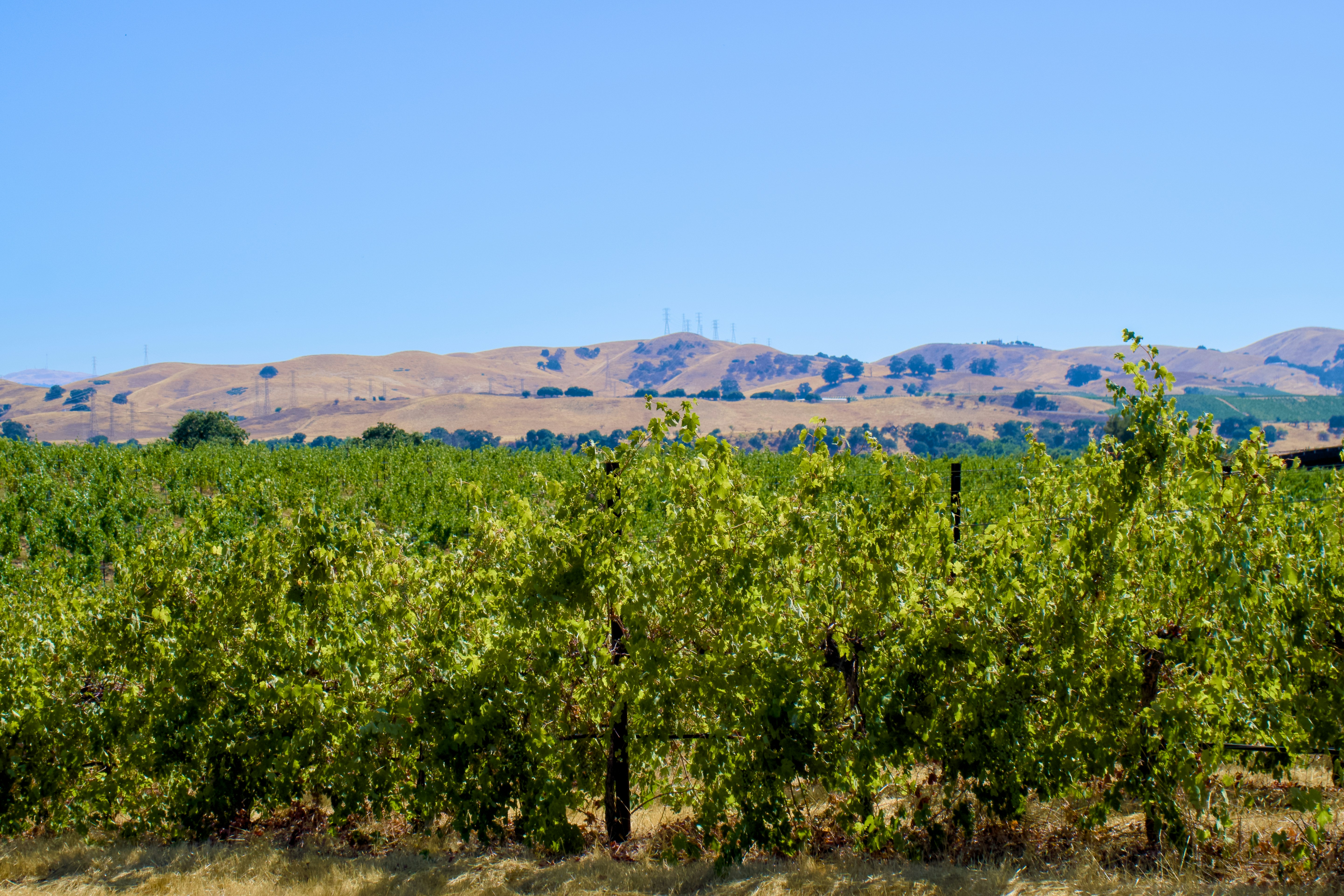 Photo by spencer_demera