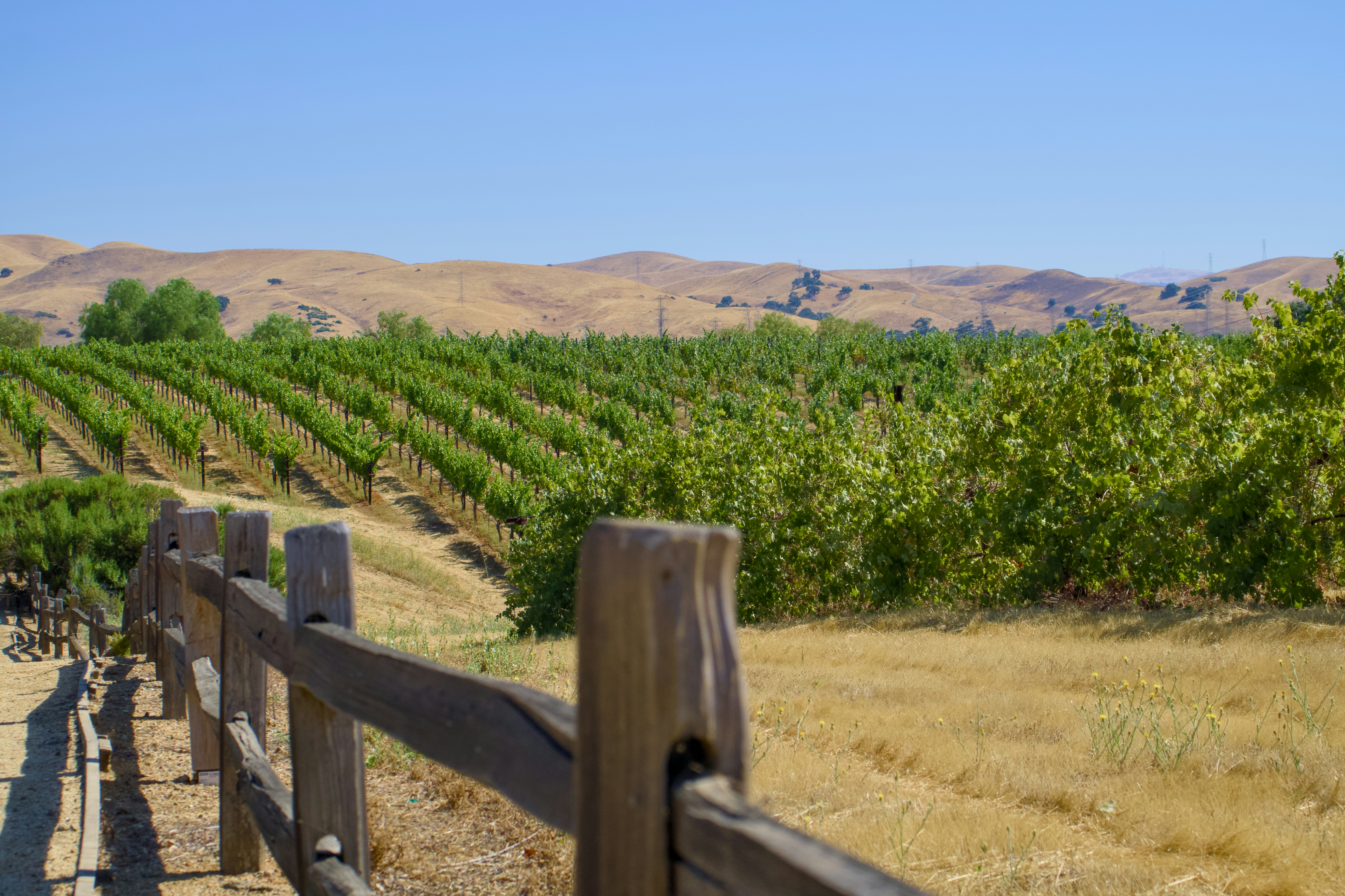 Photo by spencer_demera