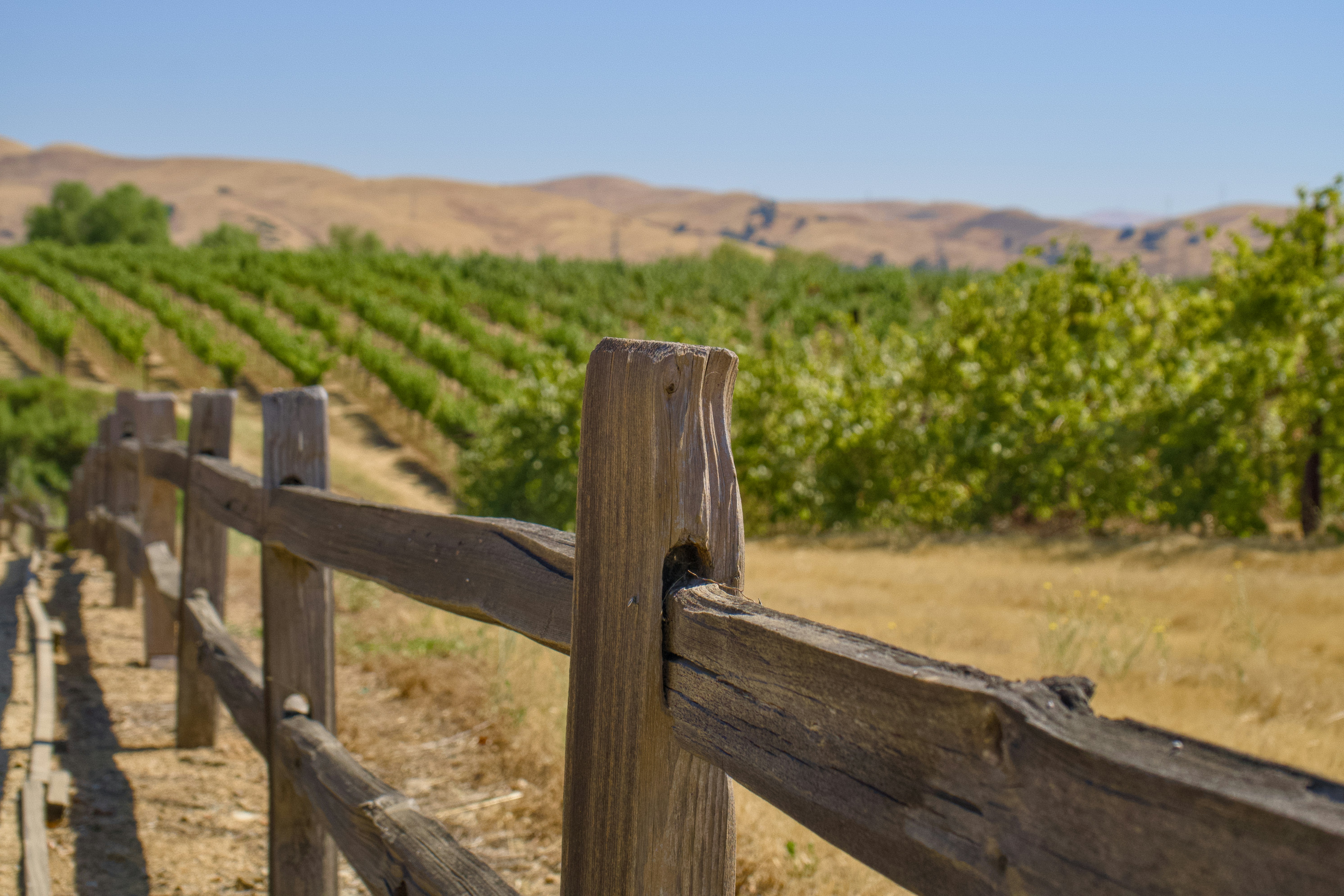 Photo by spencer_demera