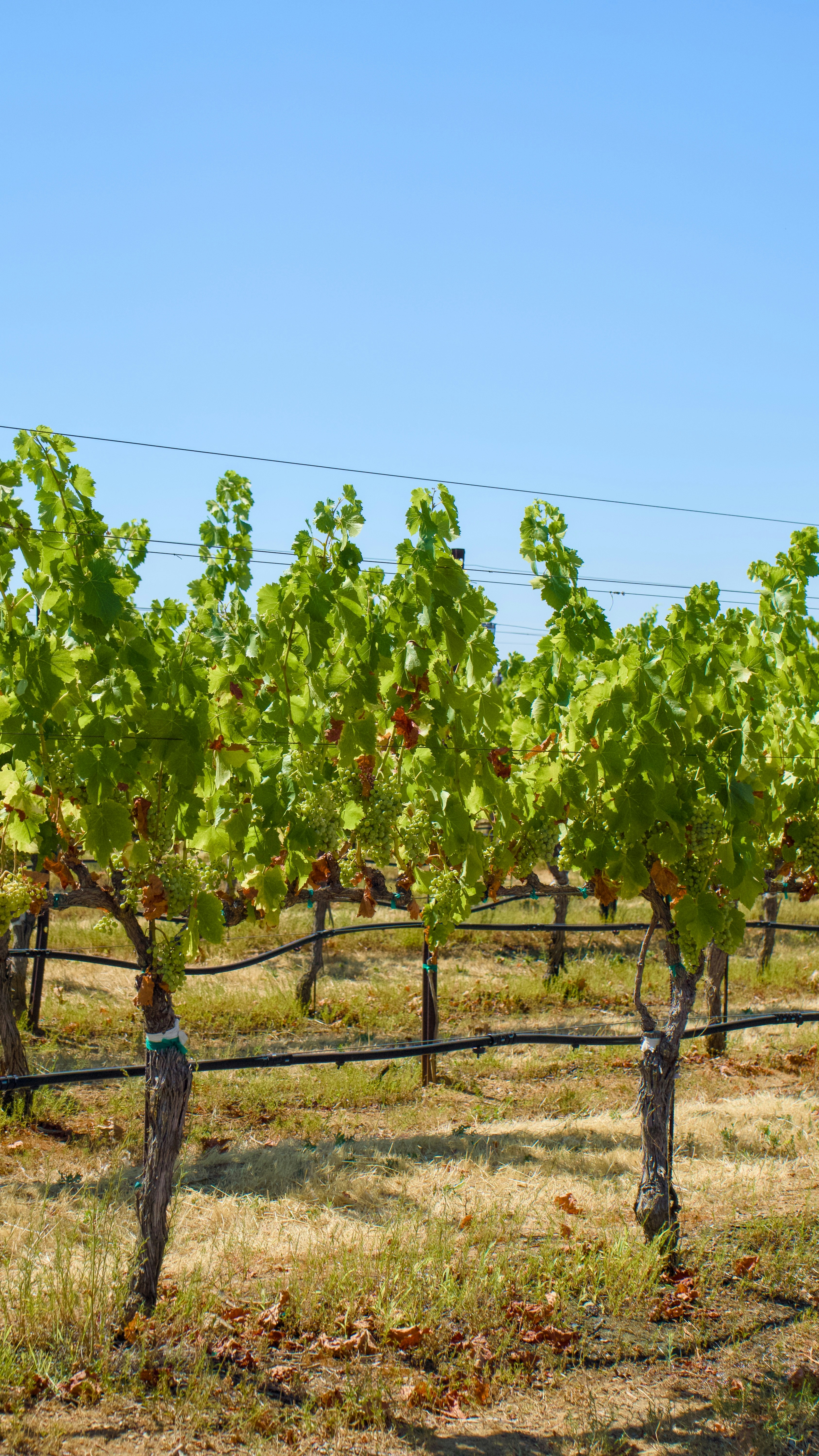 Photo by spencer_demera