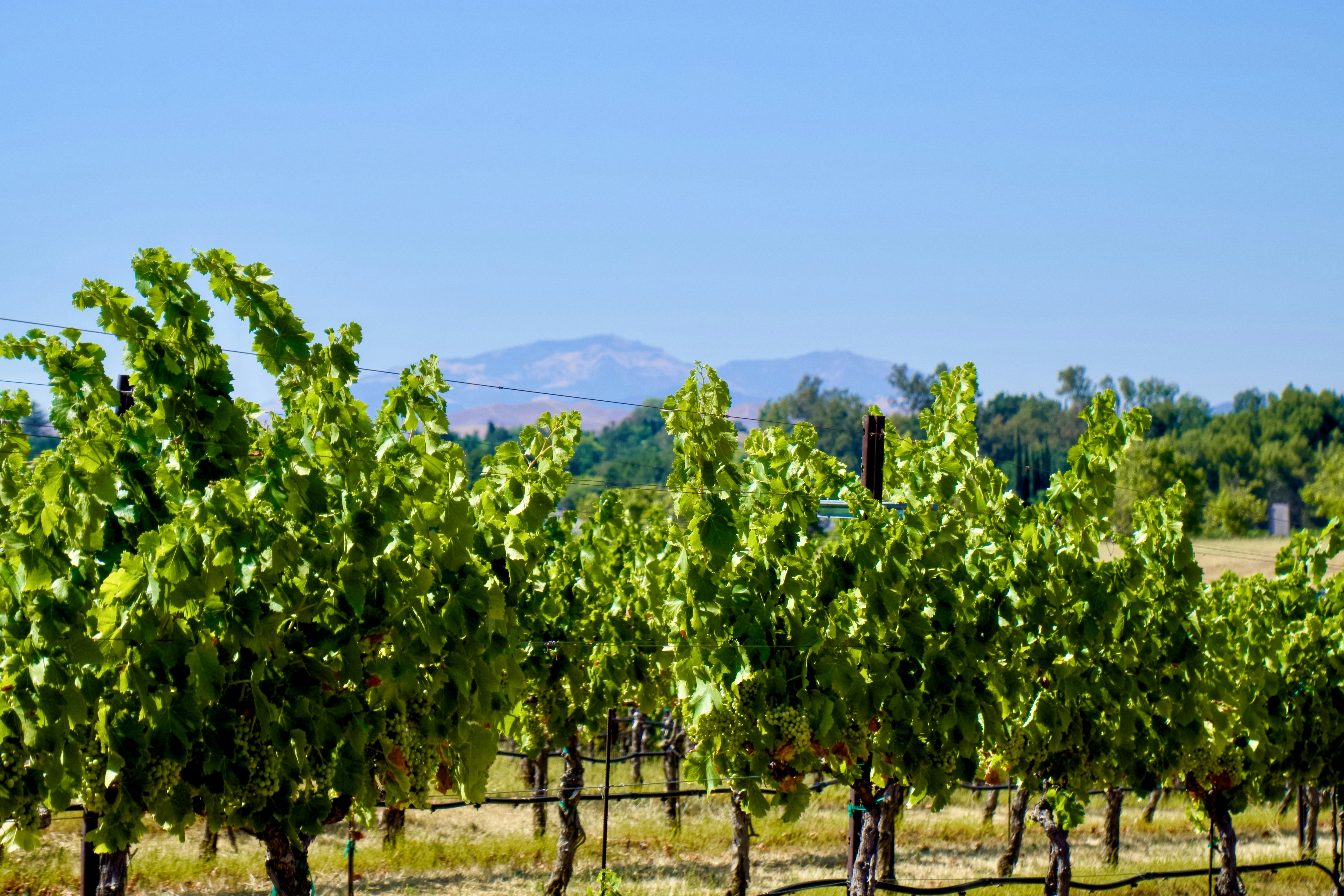 Photo by spencer_demera