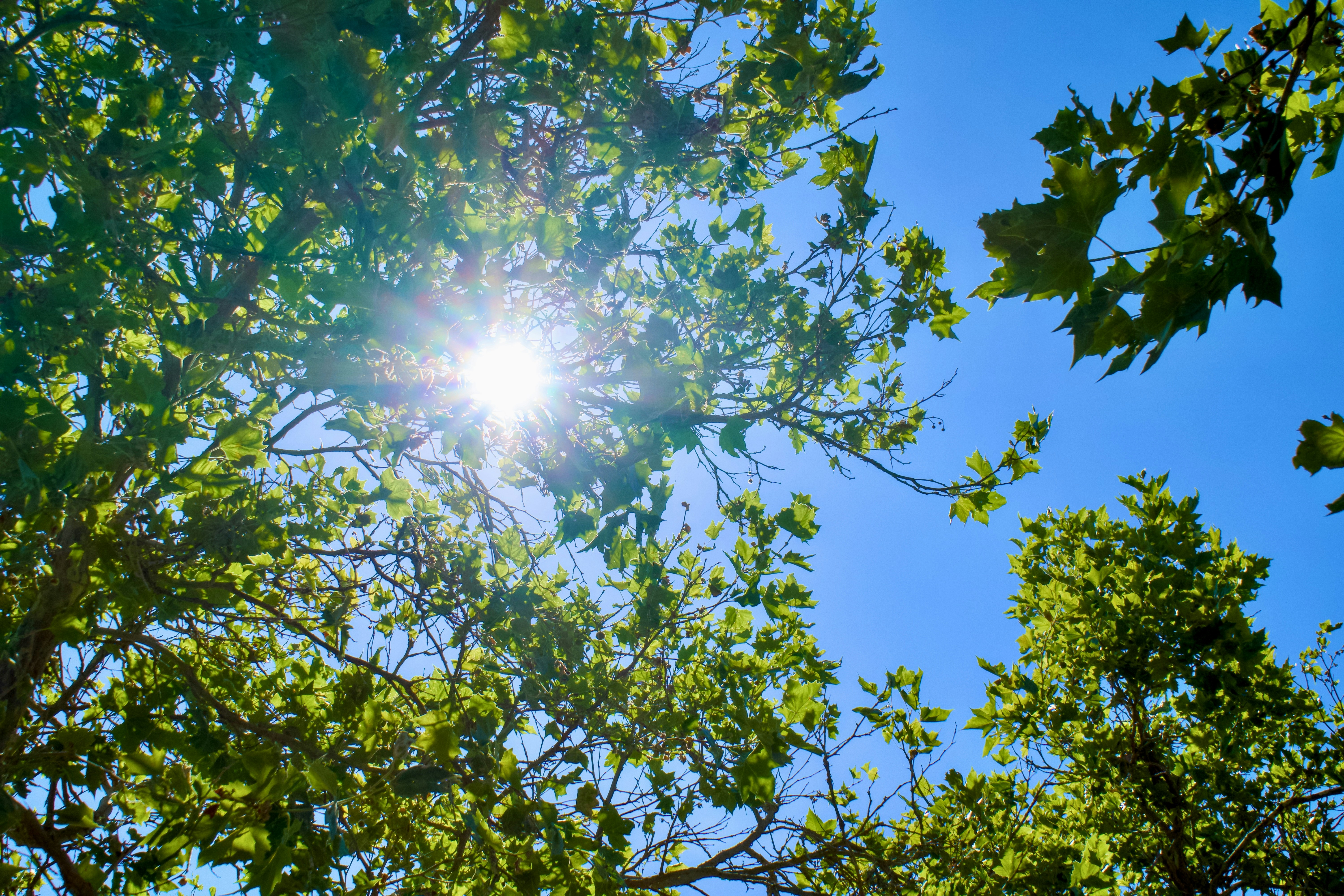 Photo by spencer_demera