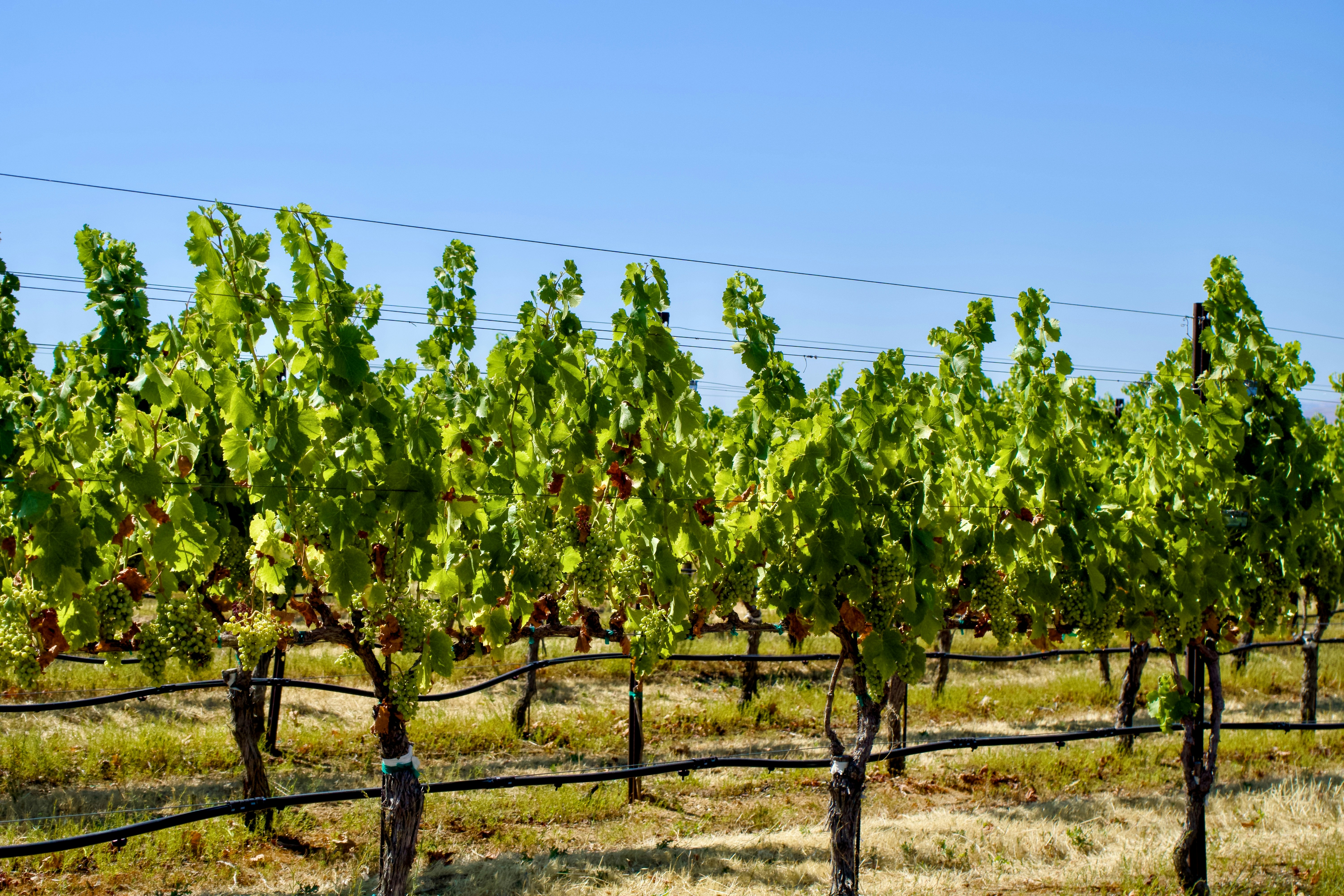 Photo by spencer_demera