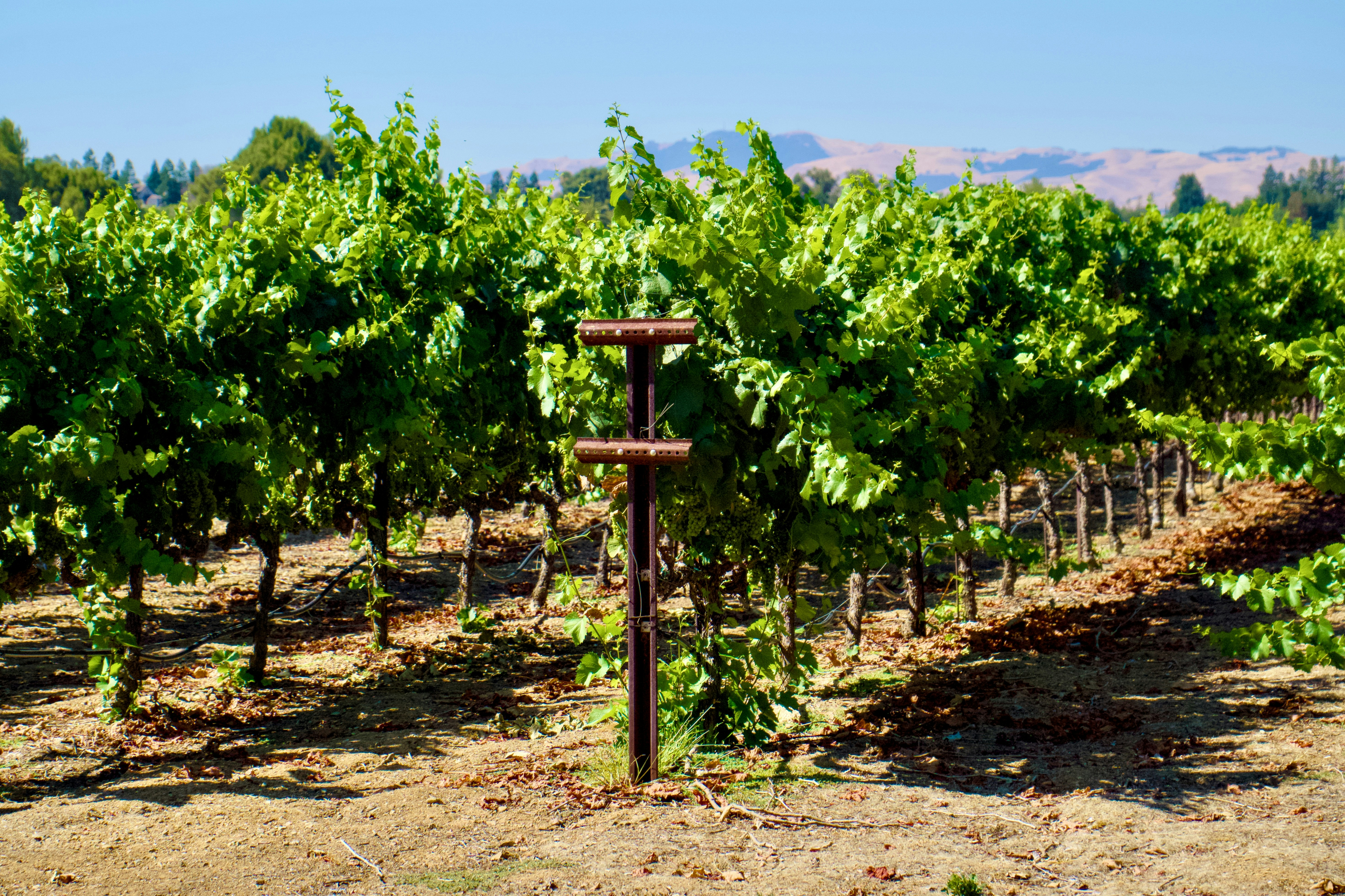 Photo by spencer_demera