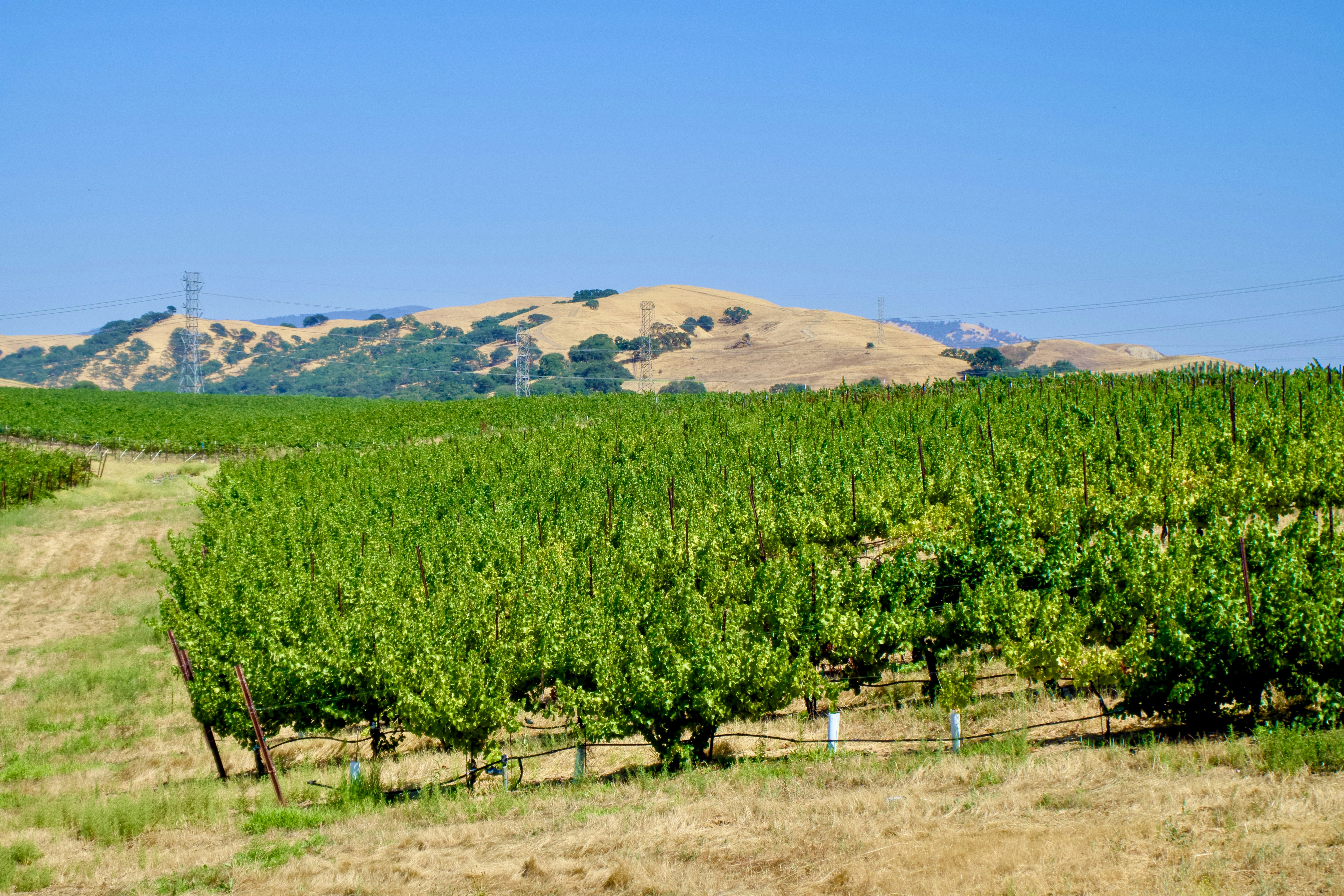 Photo by spencer_demera