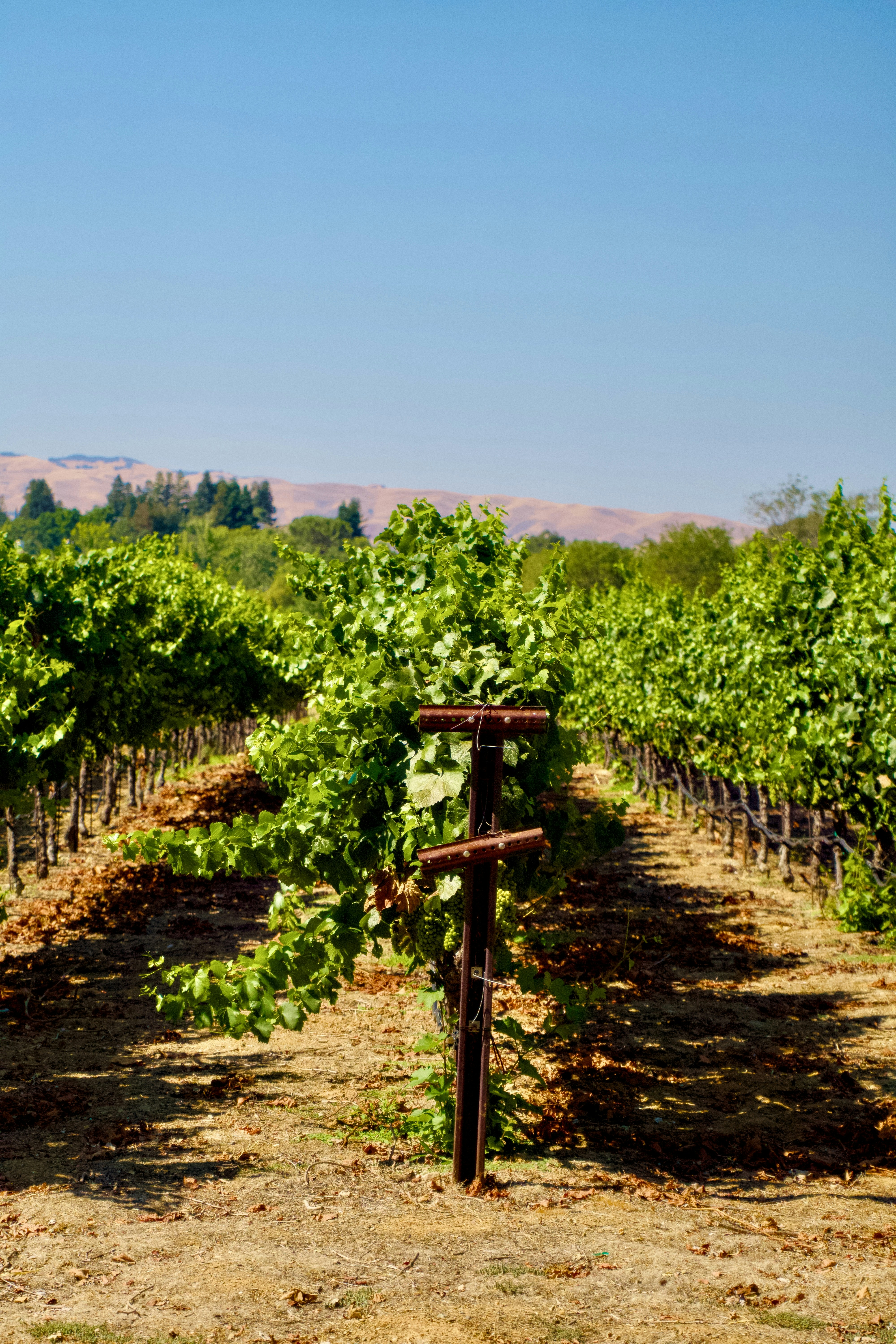 Photo by spencer_demera