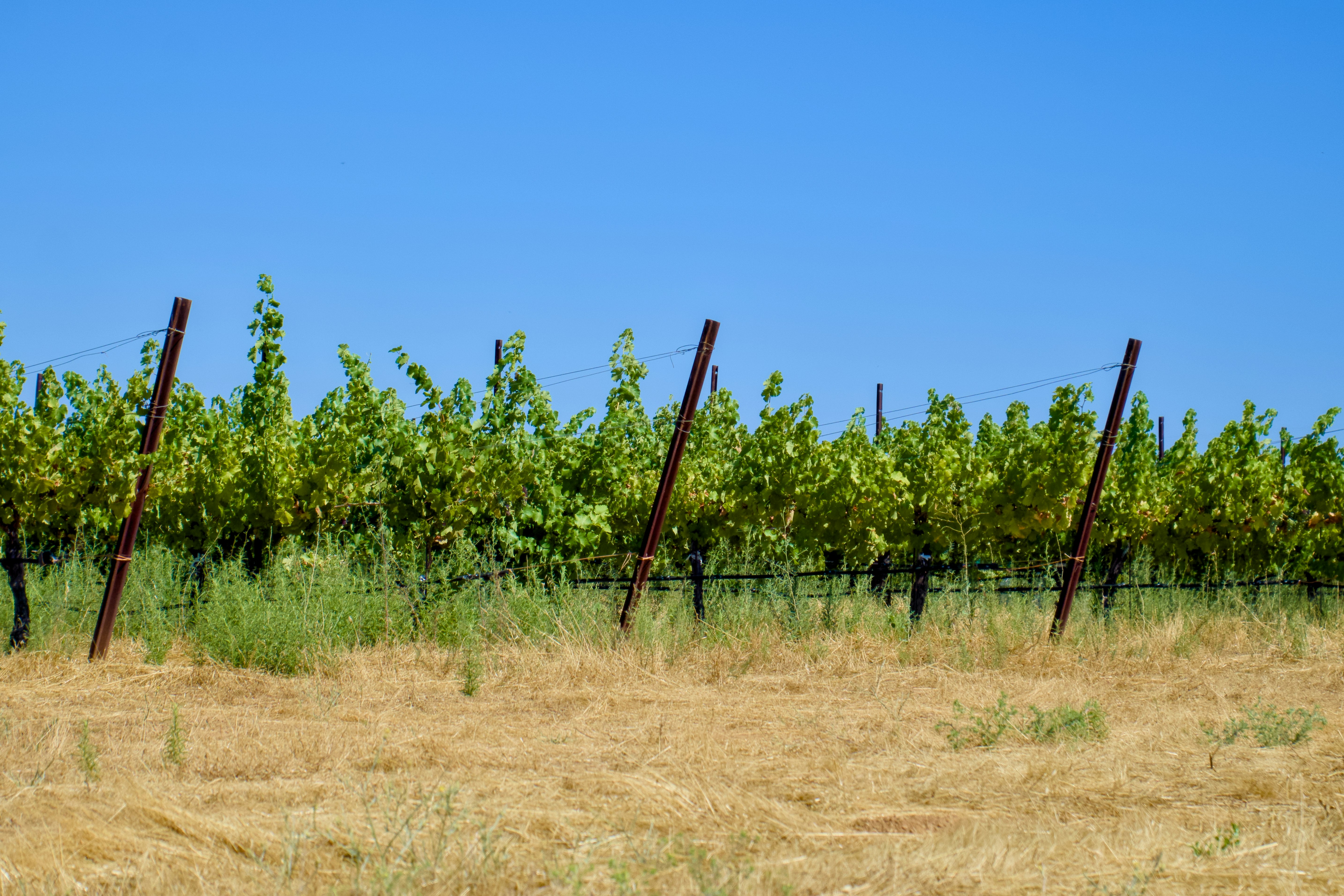 Photo by spencer_demera