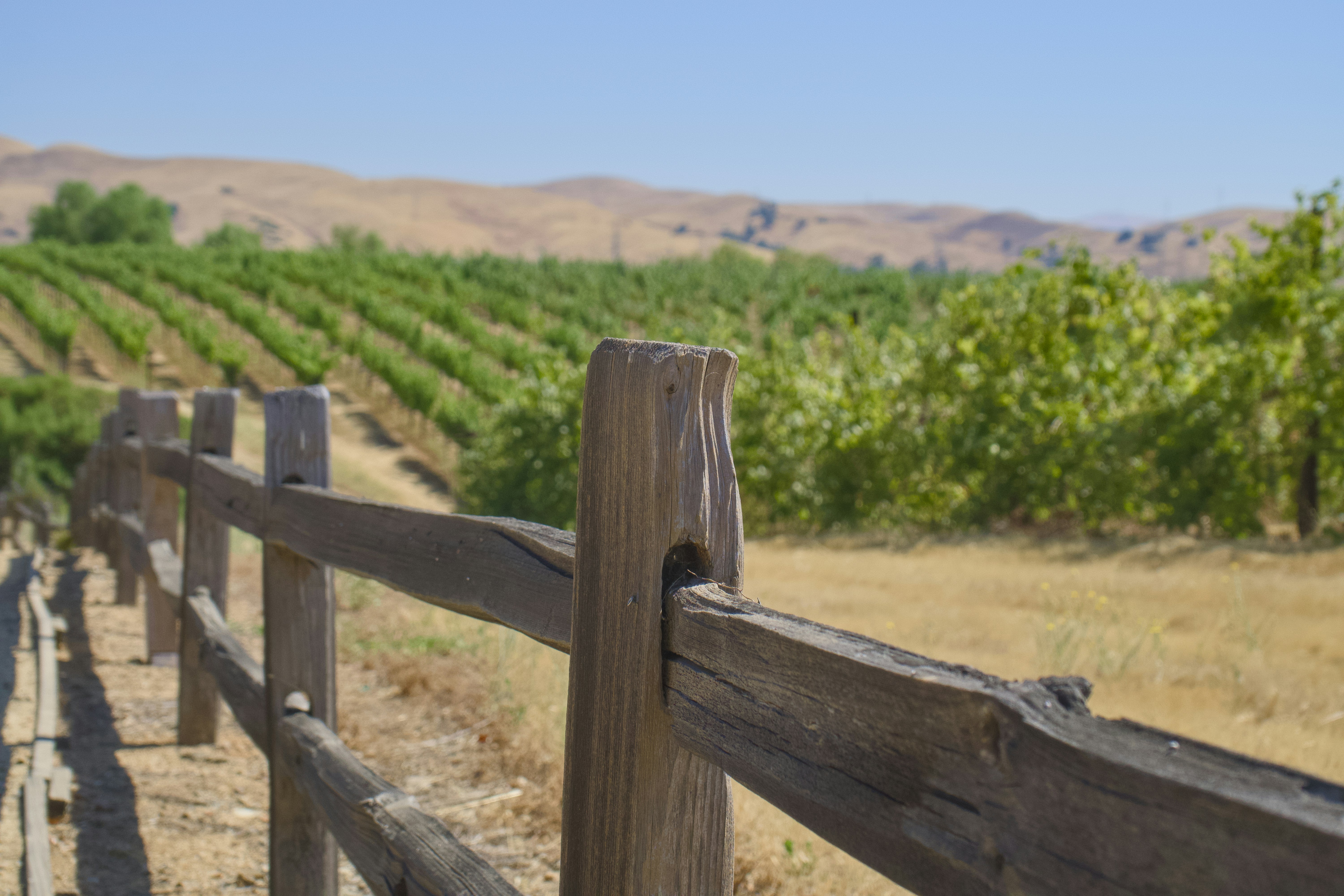 Photo by spencer_demera