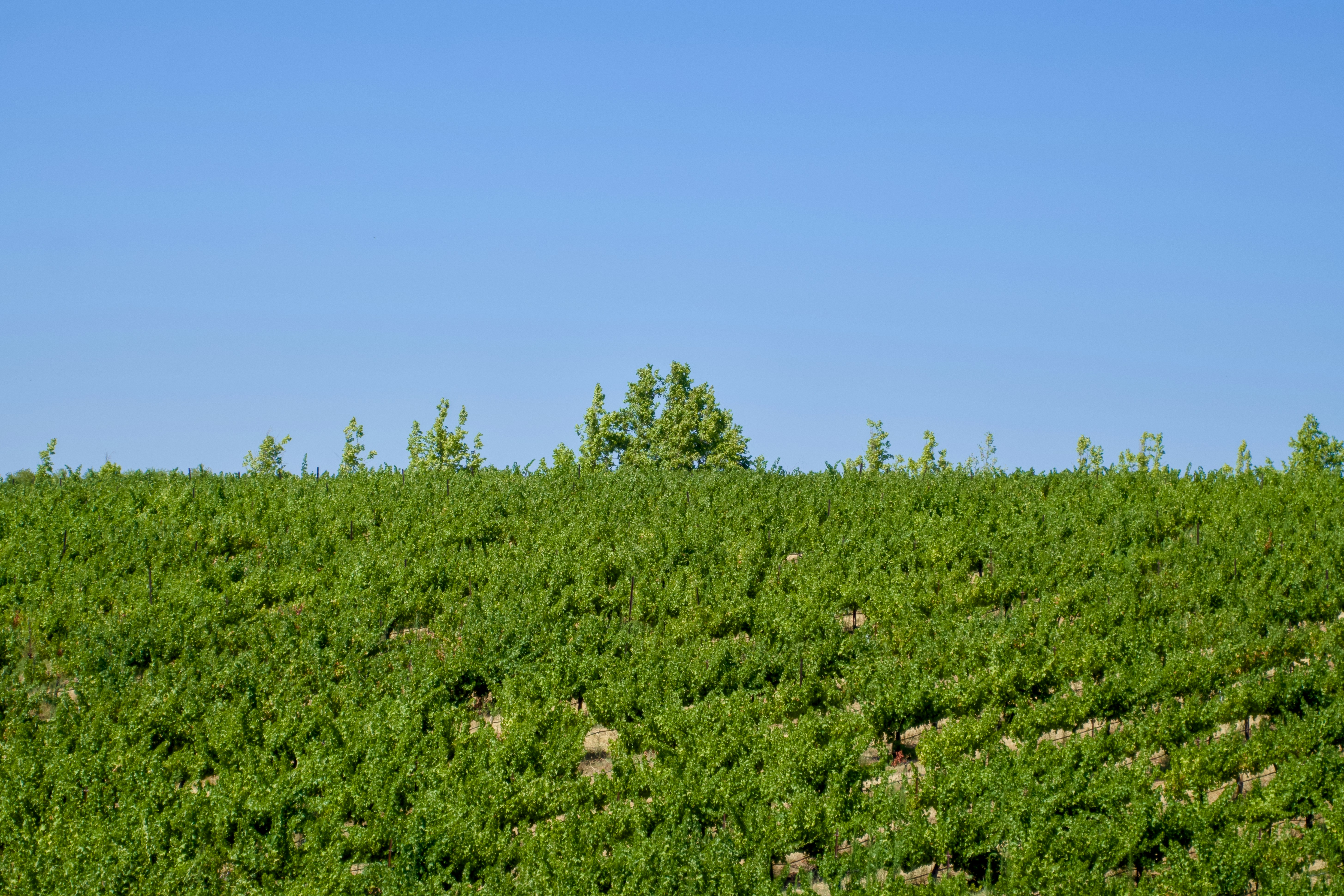 Photo by spencer_demera