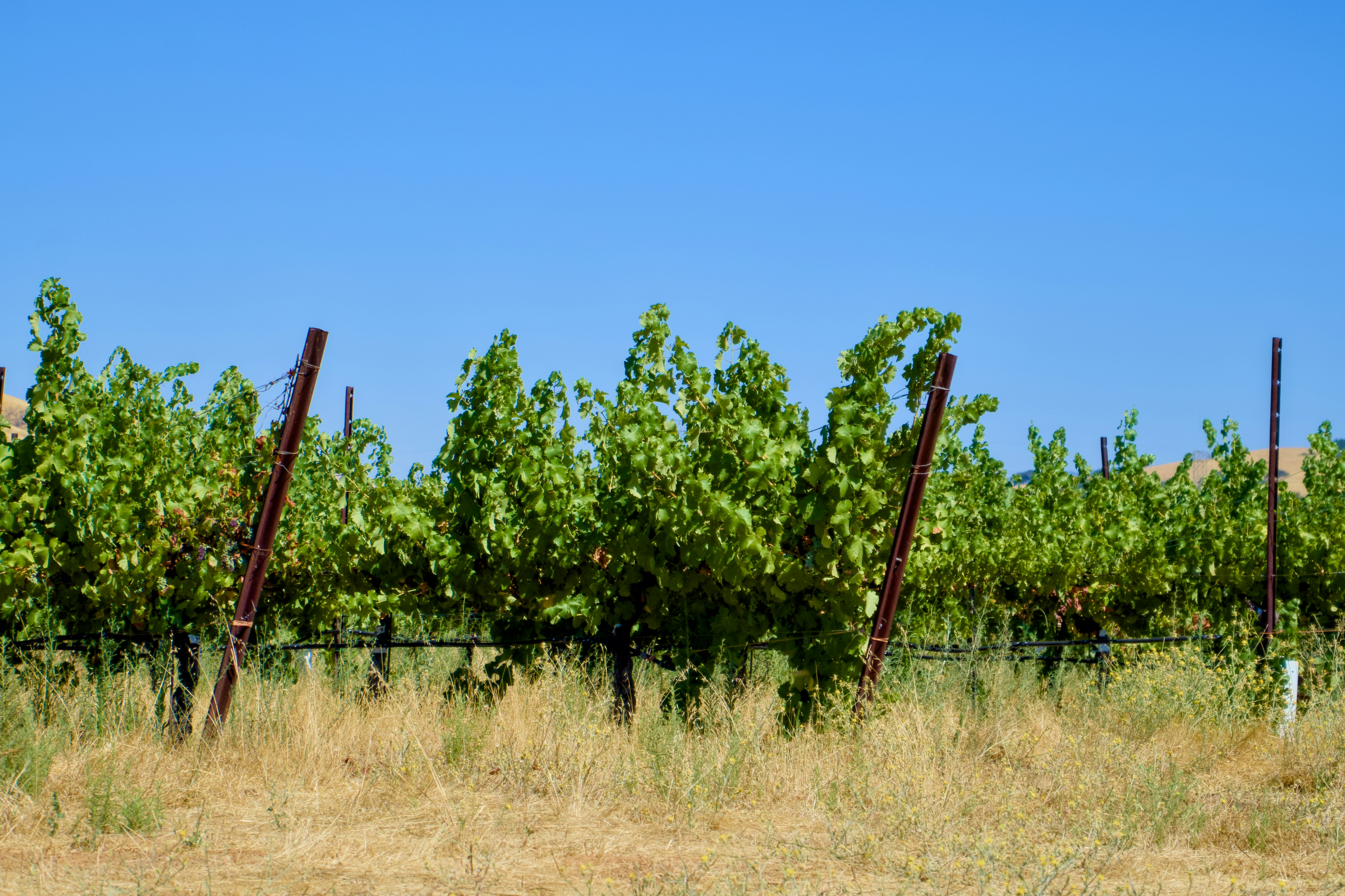 Photo by spencer_demera