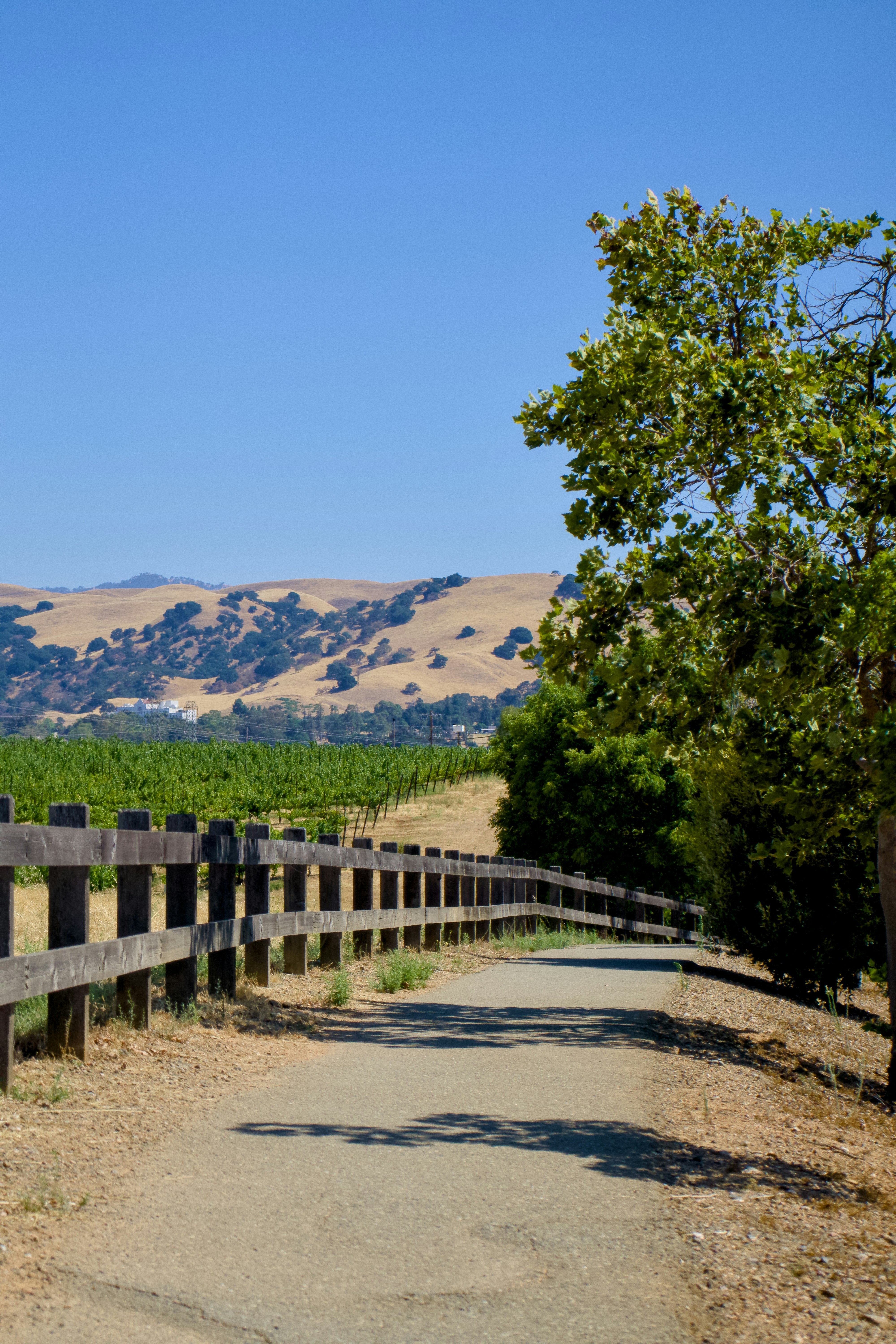A dirt road with a fence and mountains in the background