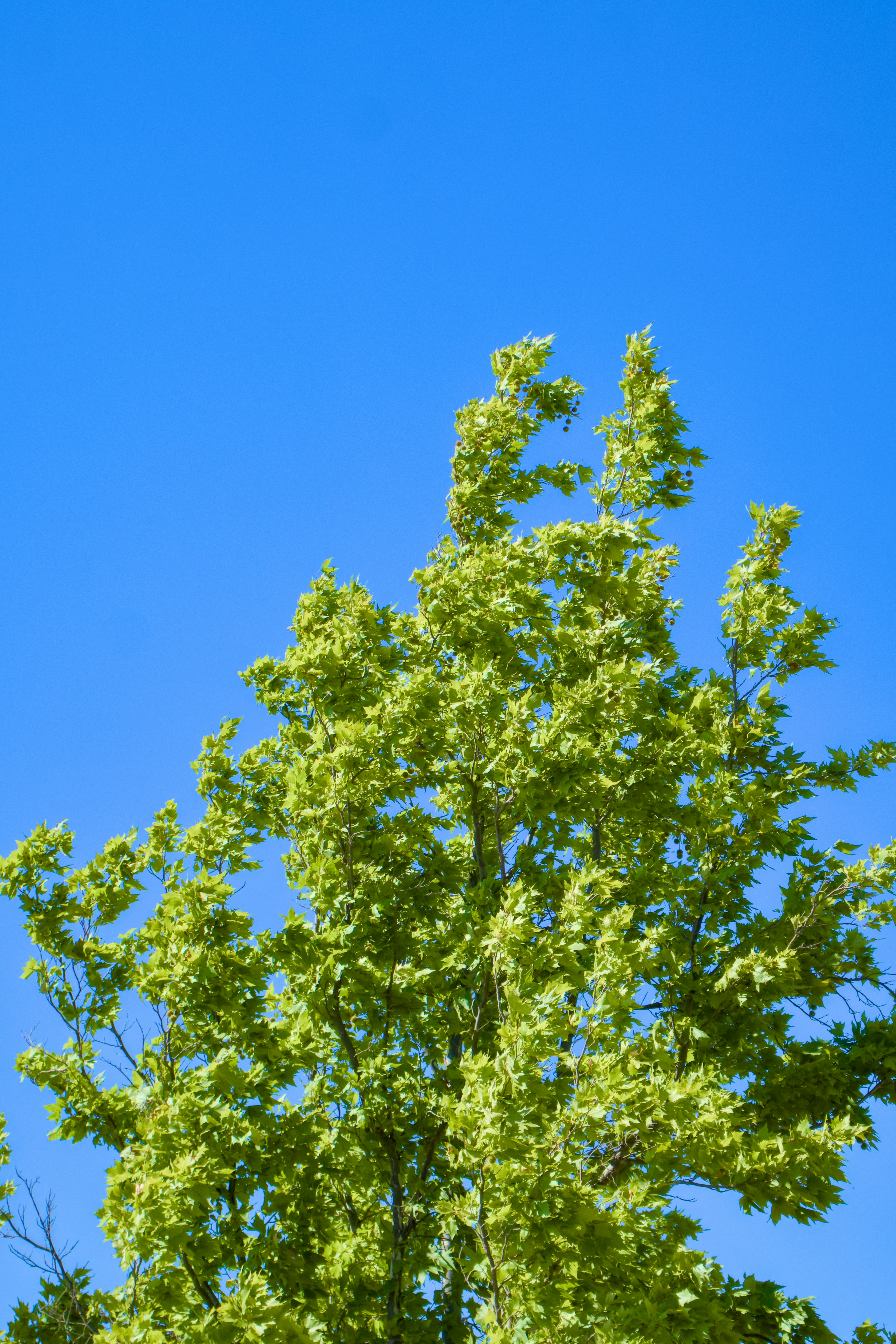 Photo by spencer_demera