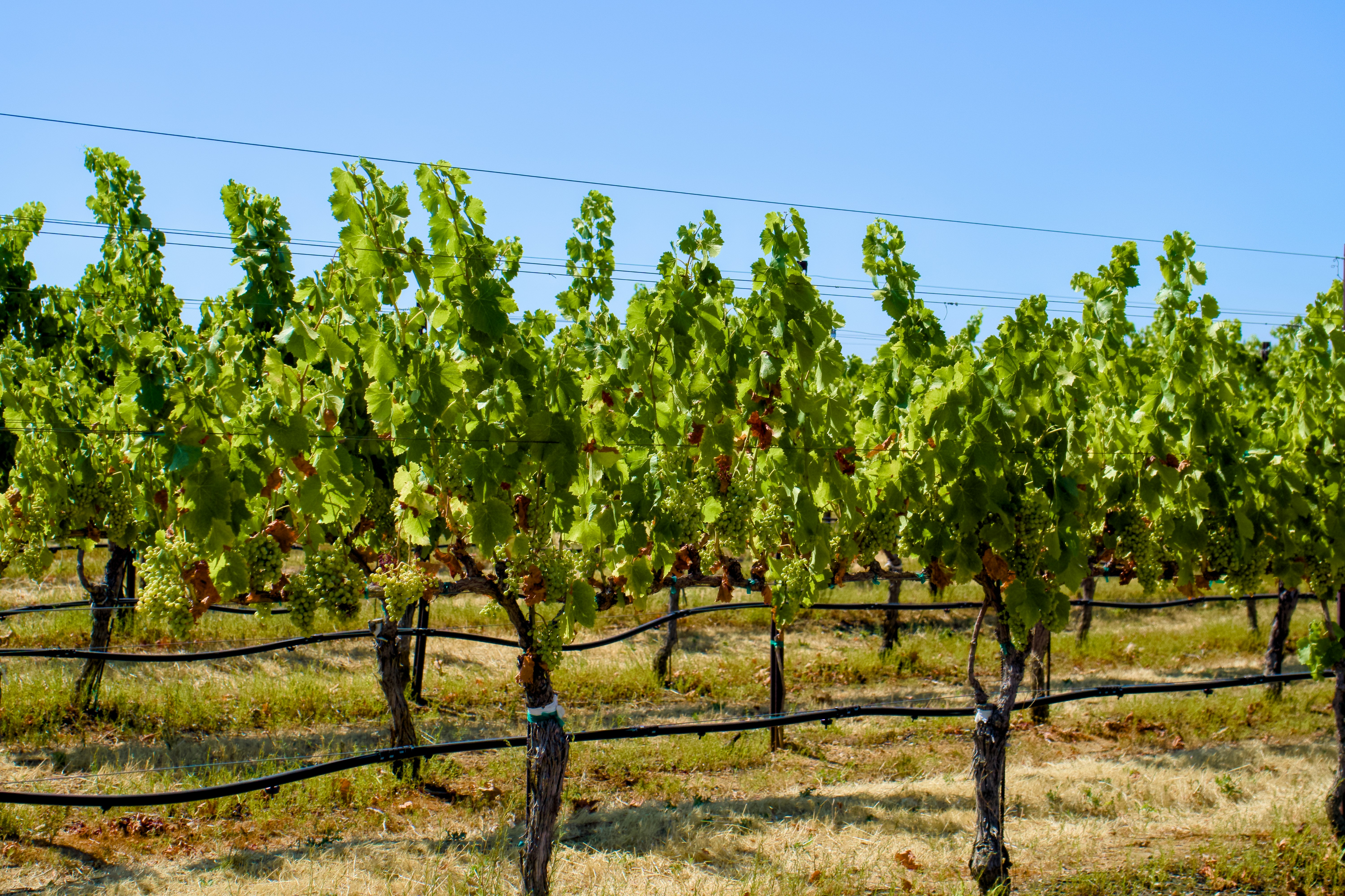 Photo by spencer_demera