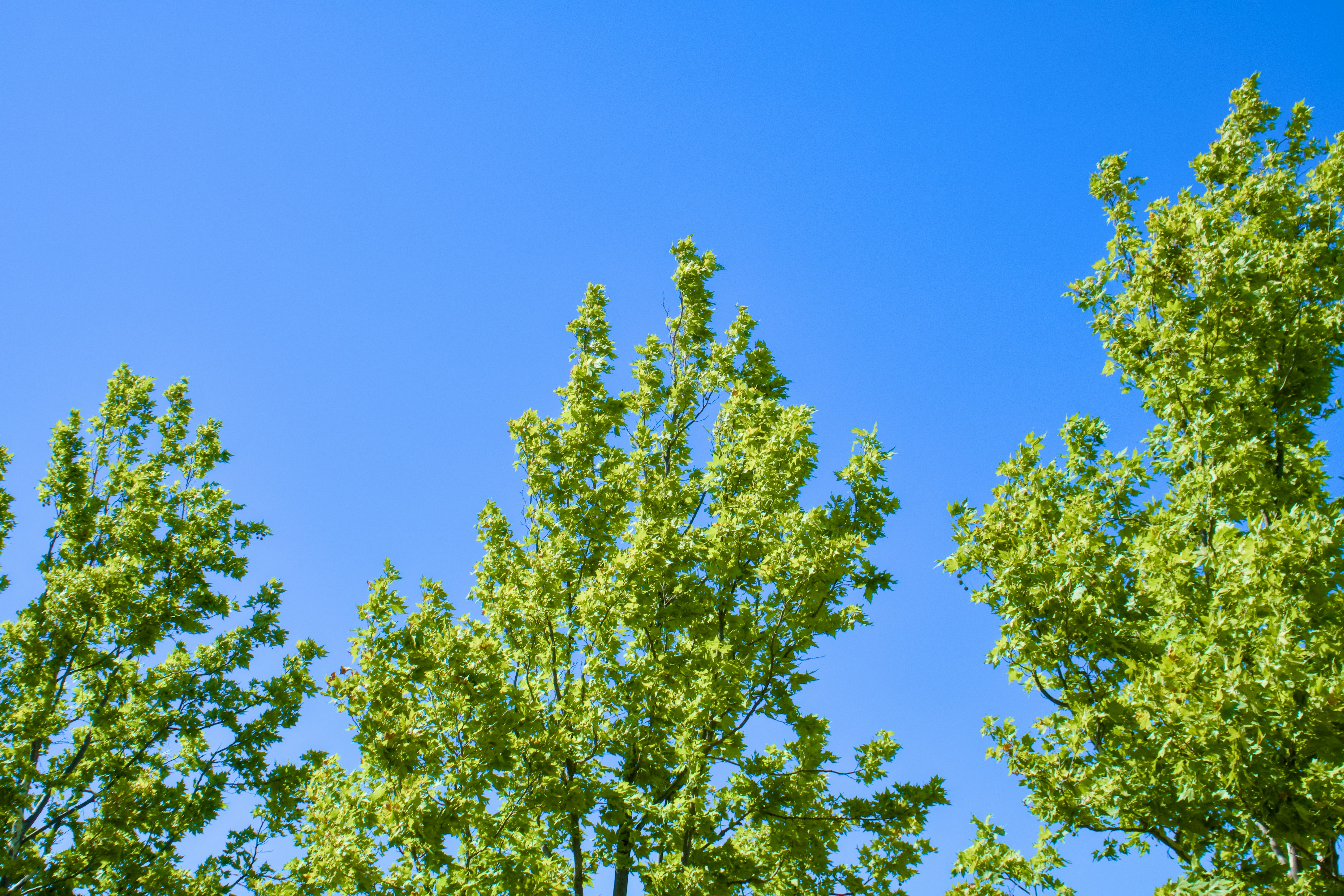 Photo by spencer_demera