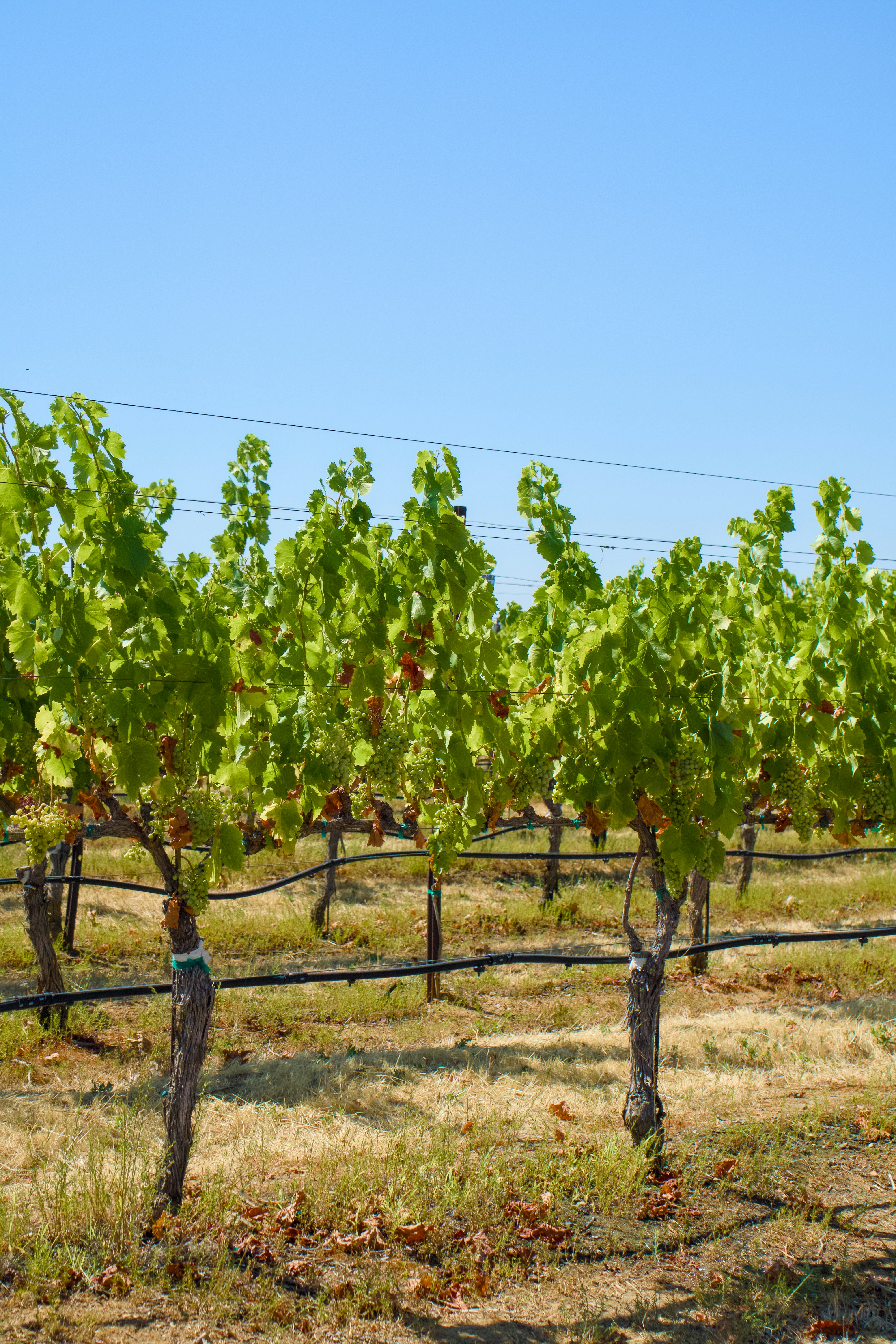 Photo by spencer_demera