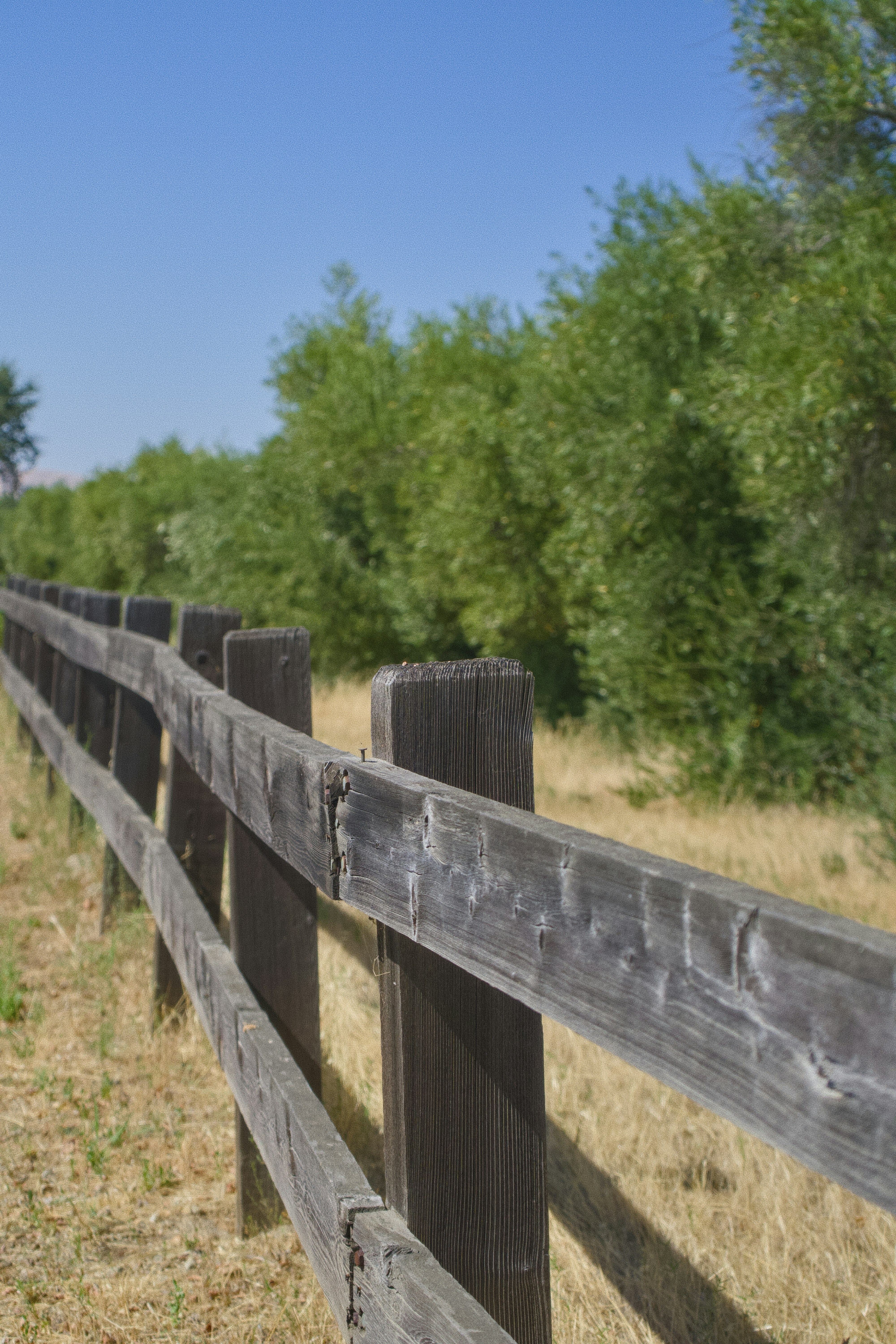 Photo by spencer_demera