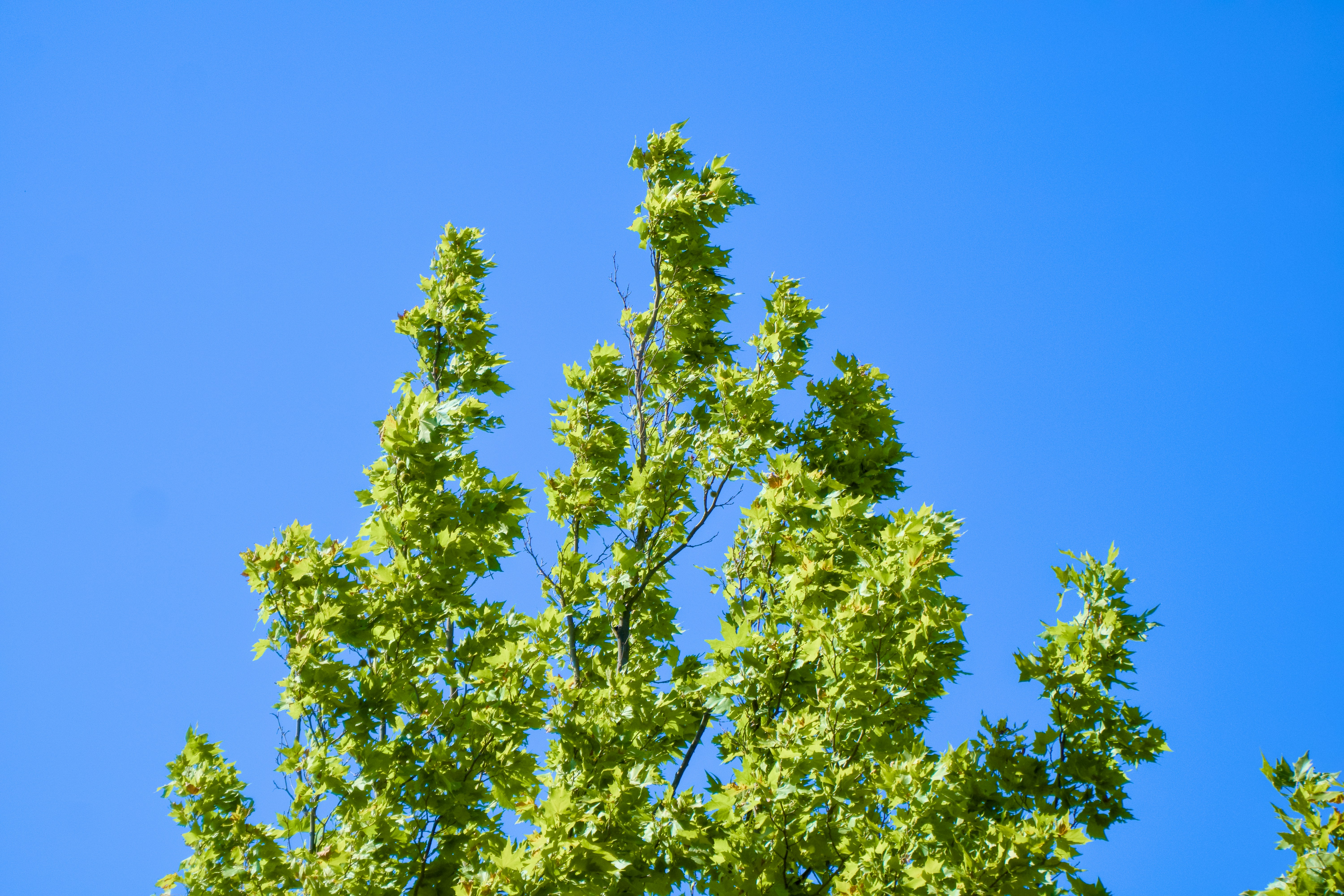 Photo by spencer_demera