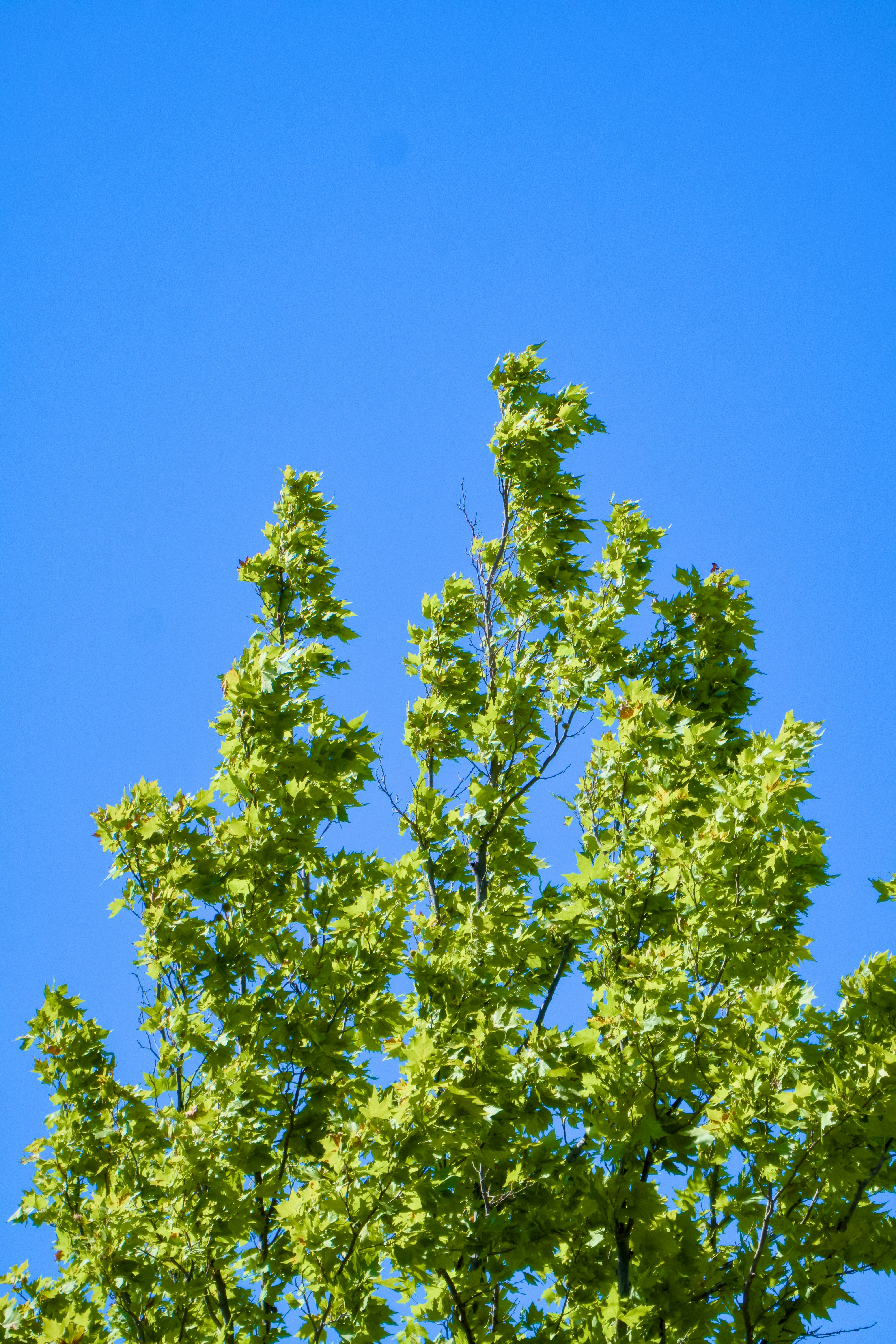 Photo by spencer_demera