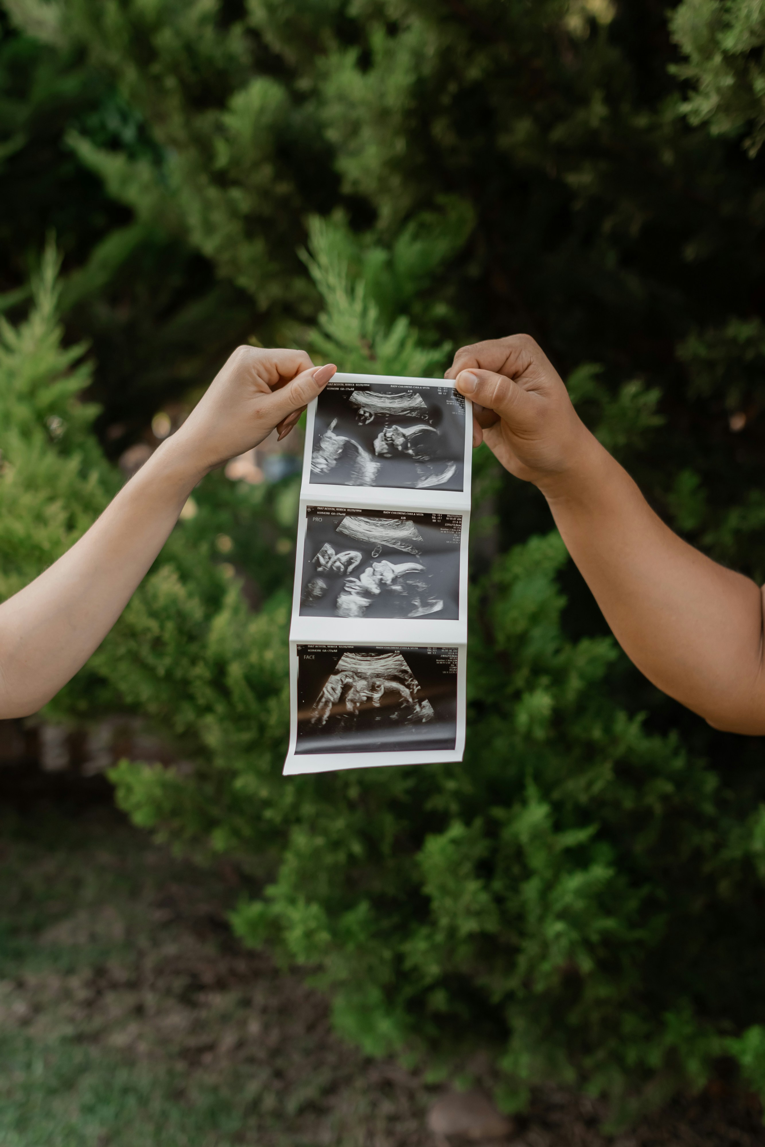 Photo by livingcolortj