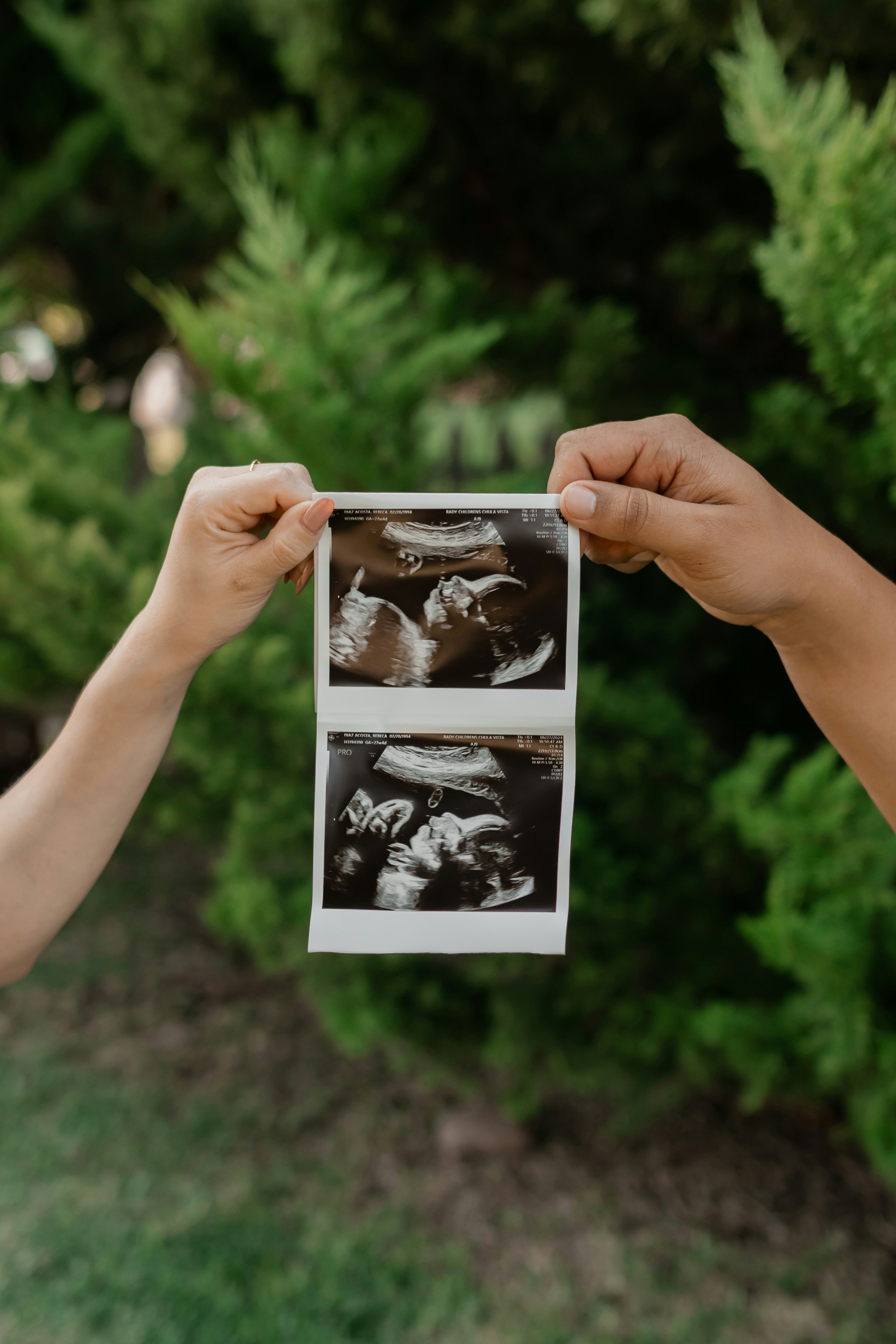 Photo by livingcolortj