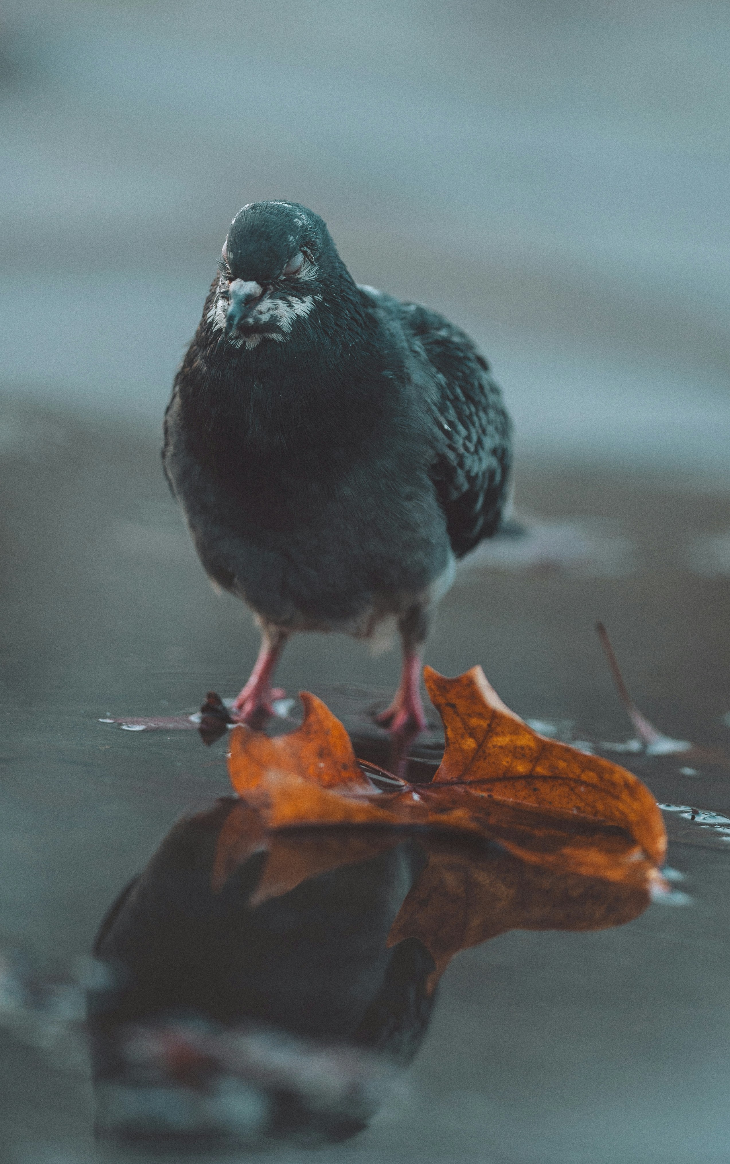 Photo by omarvellous14