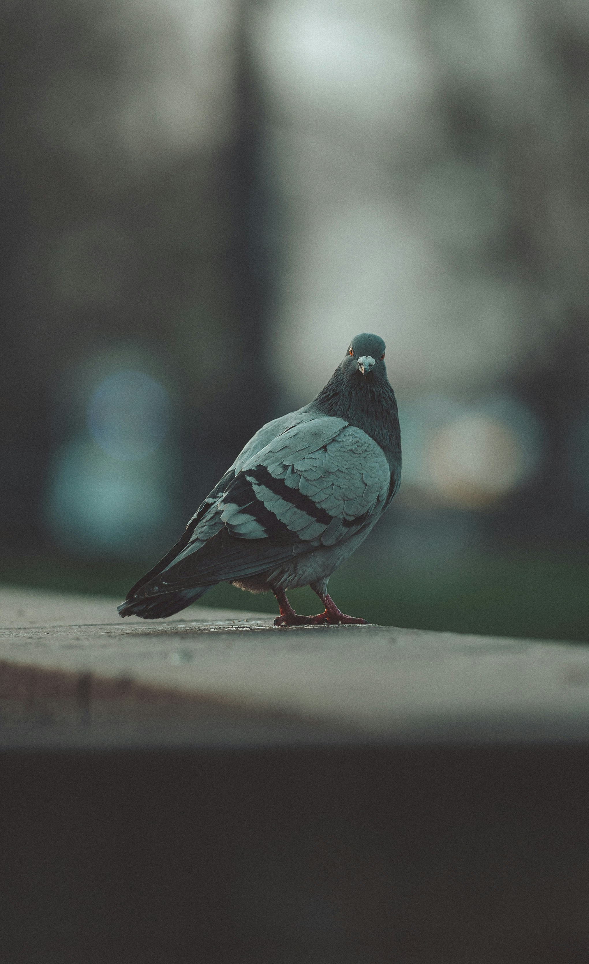 Photo by omarvellous14