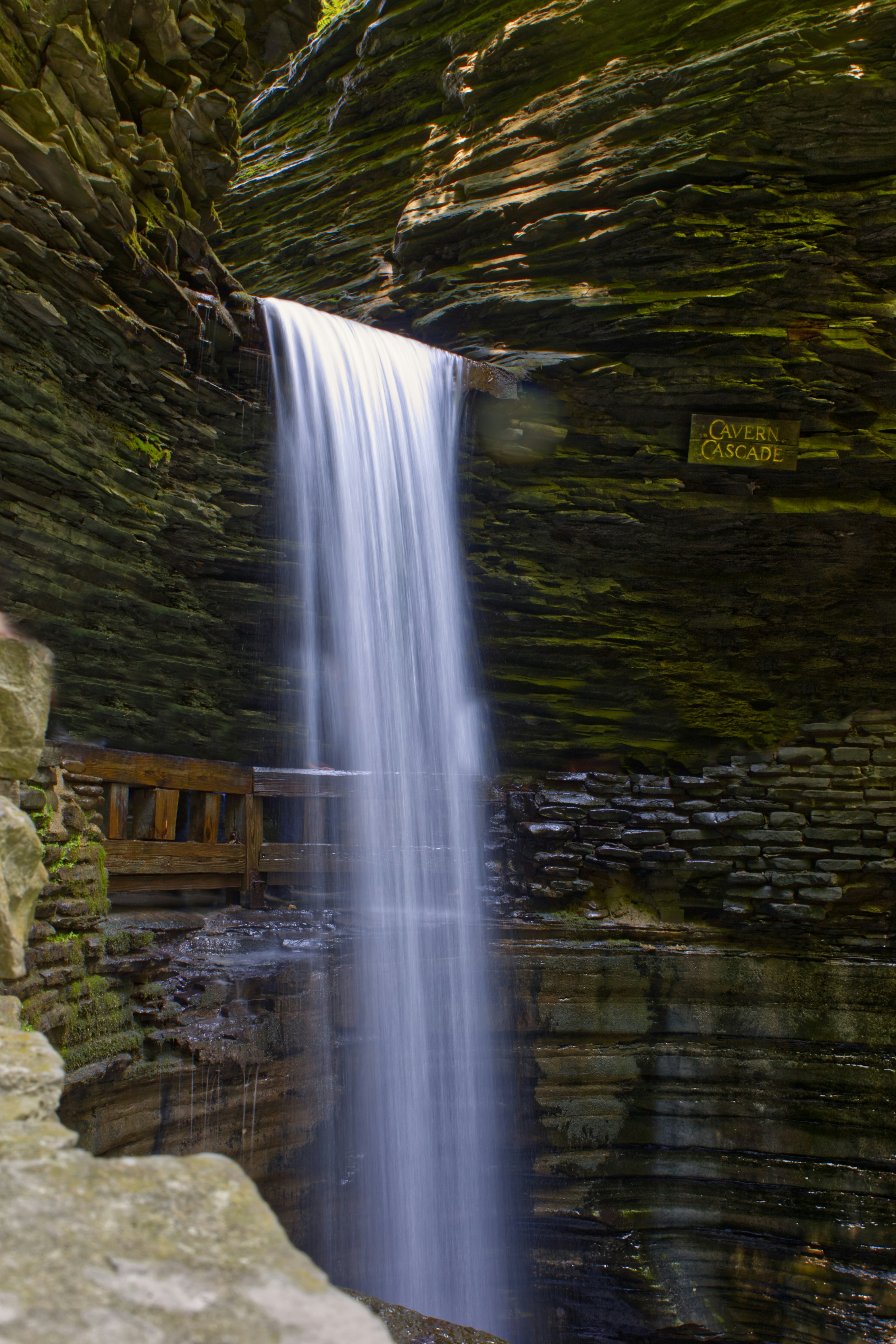 Photo by dallaspenner