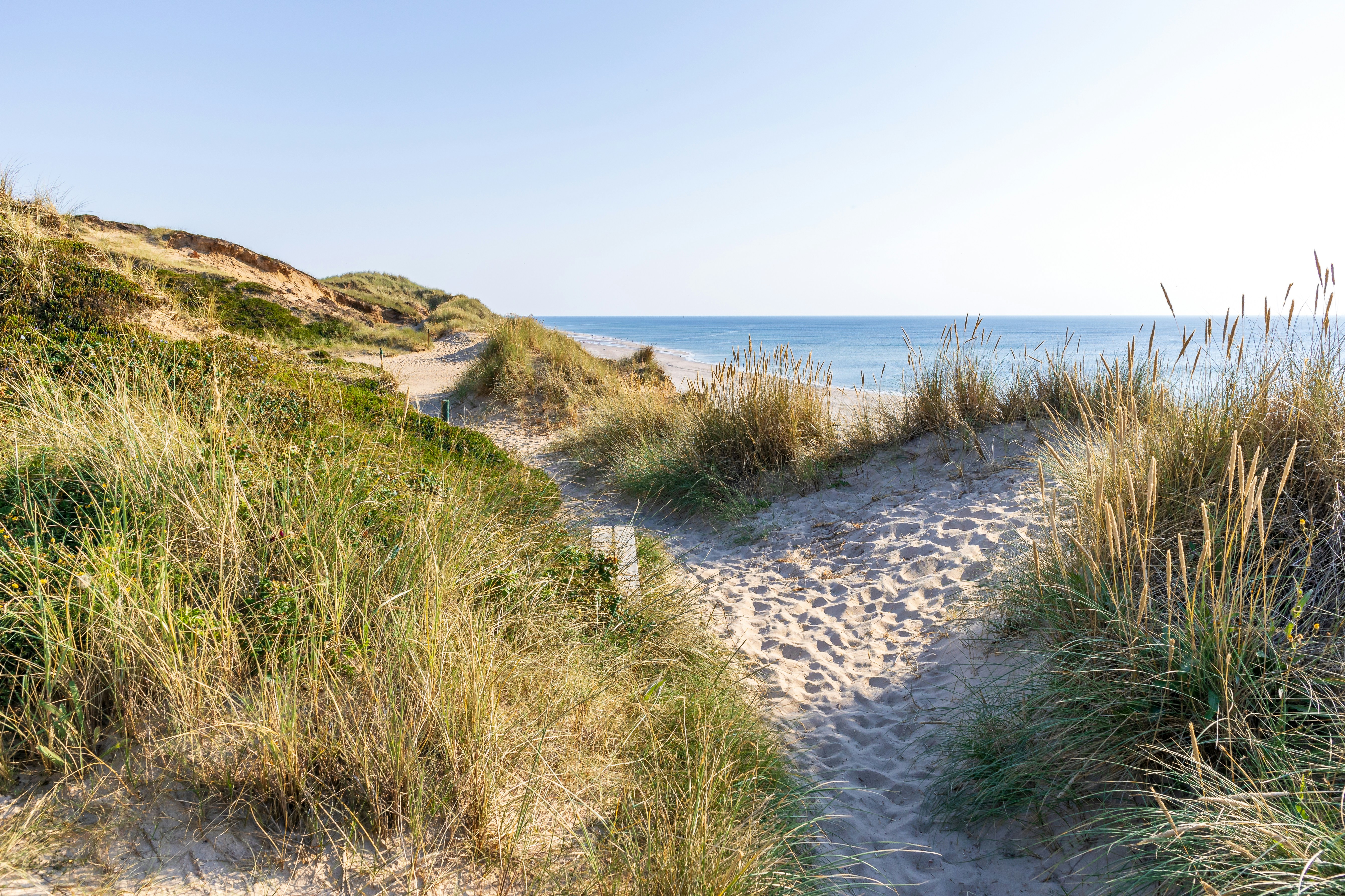 Photo by marvinradke