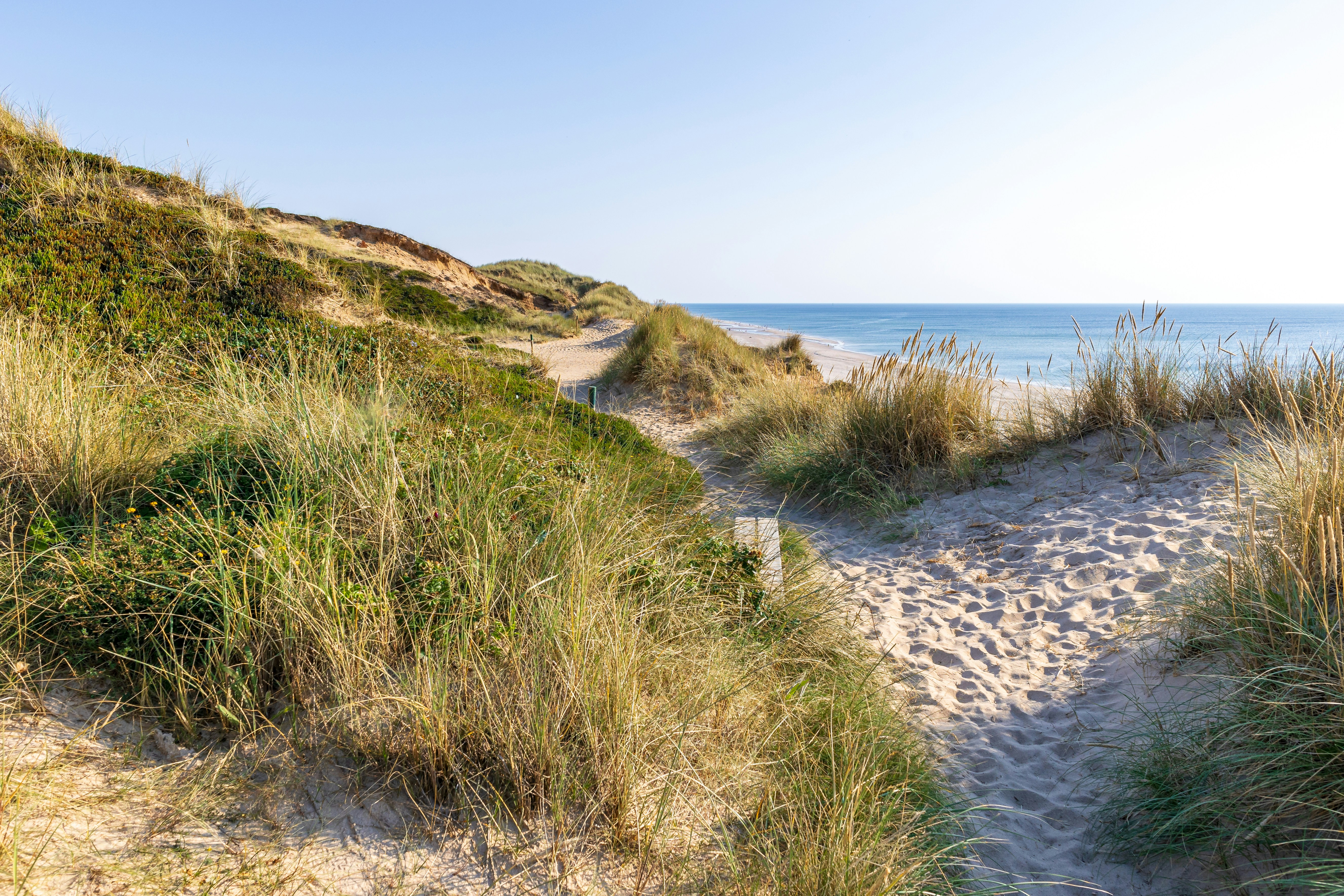 Photo by marvinradke