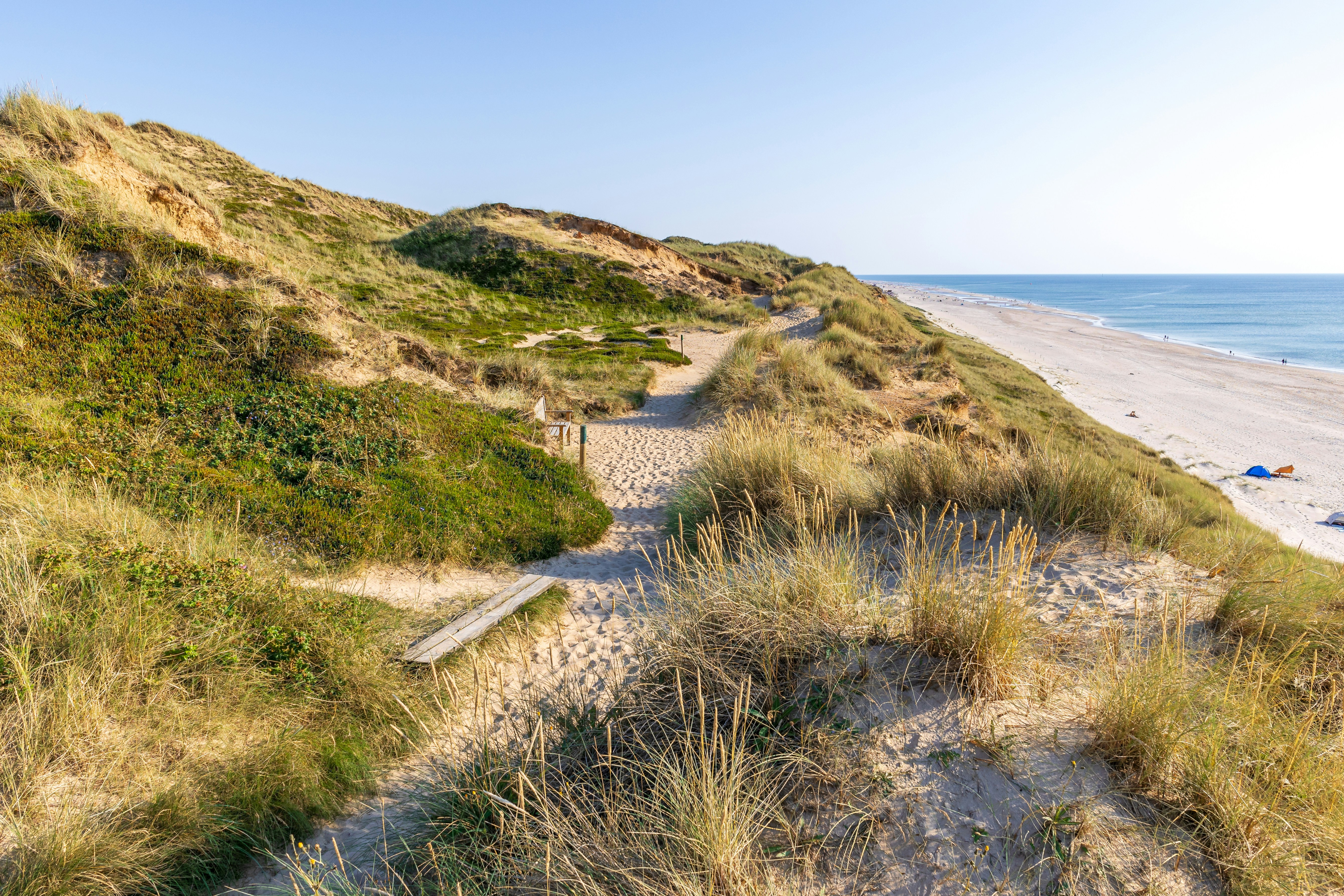 Photo by marvinradke