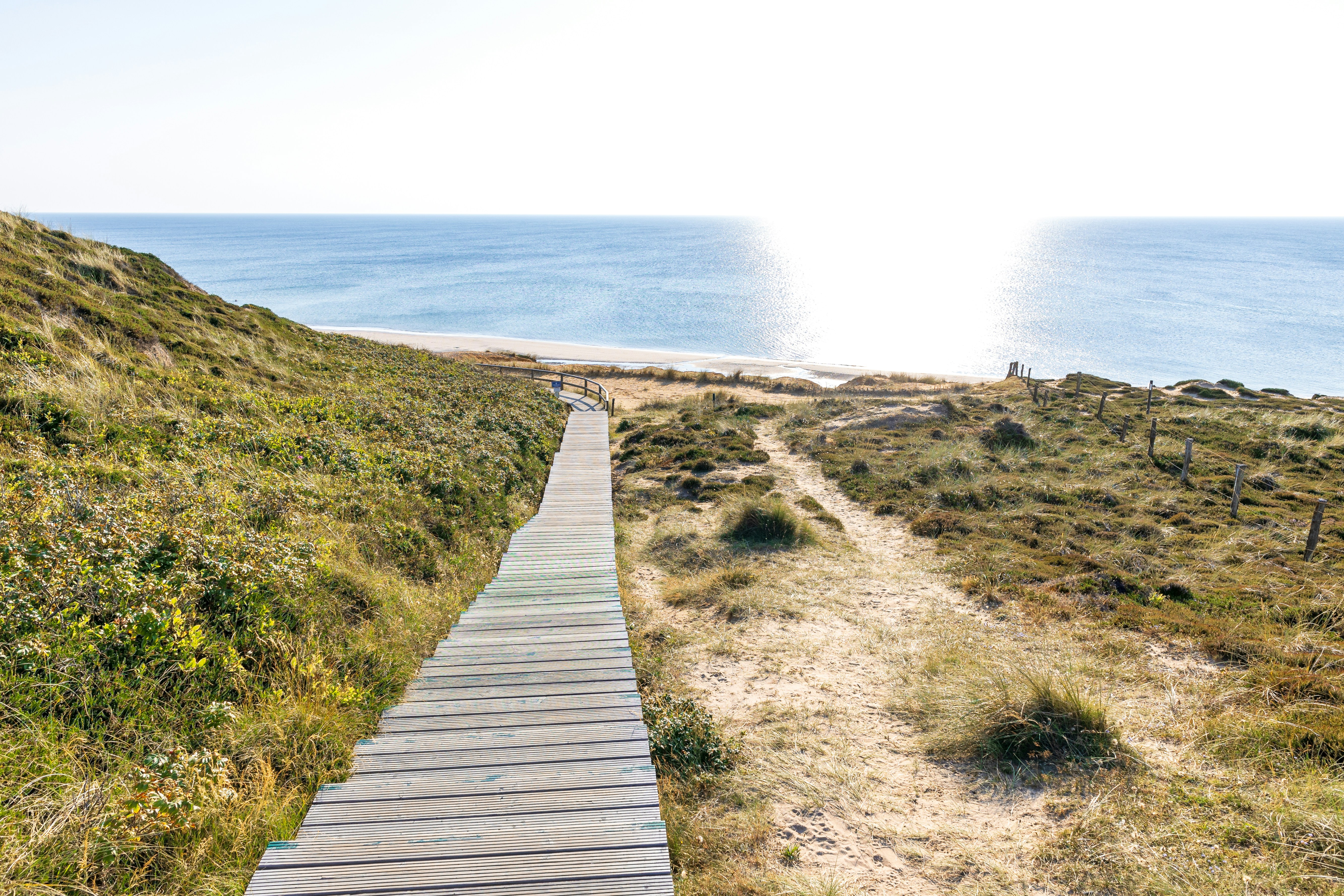 Photo by marvinradke