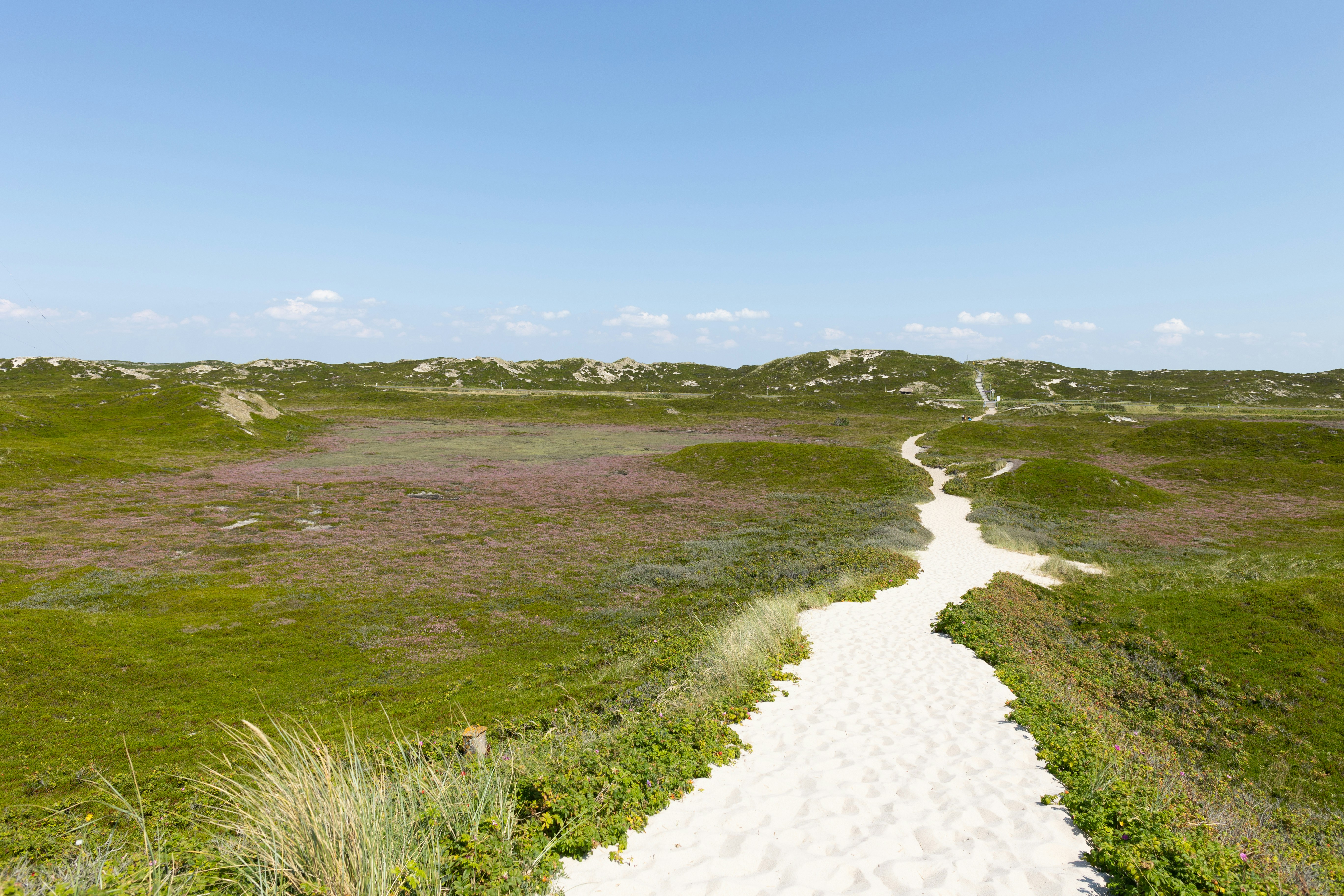 Photo by marvinradke