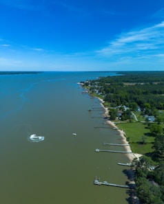 A large body of water surrounded by trees