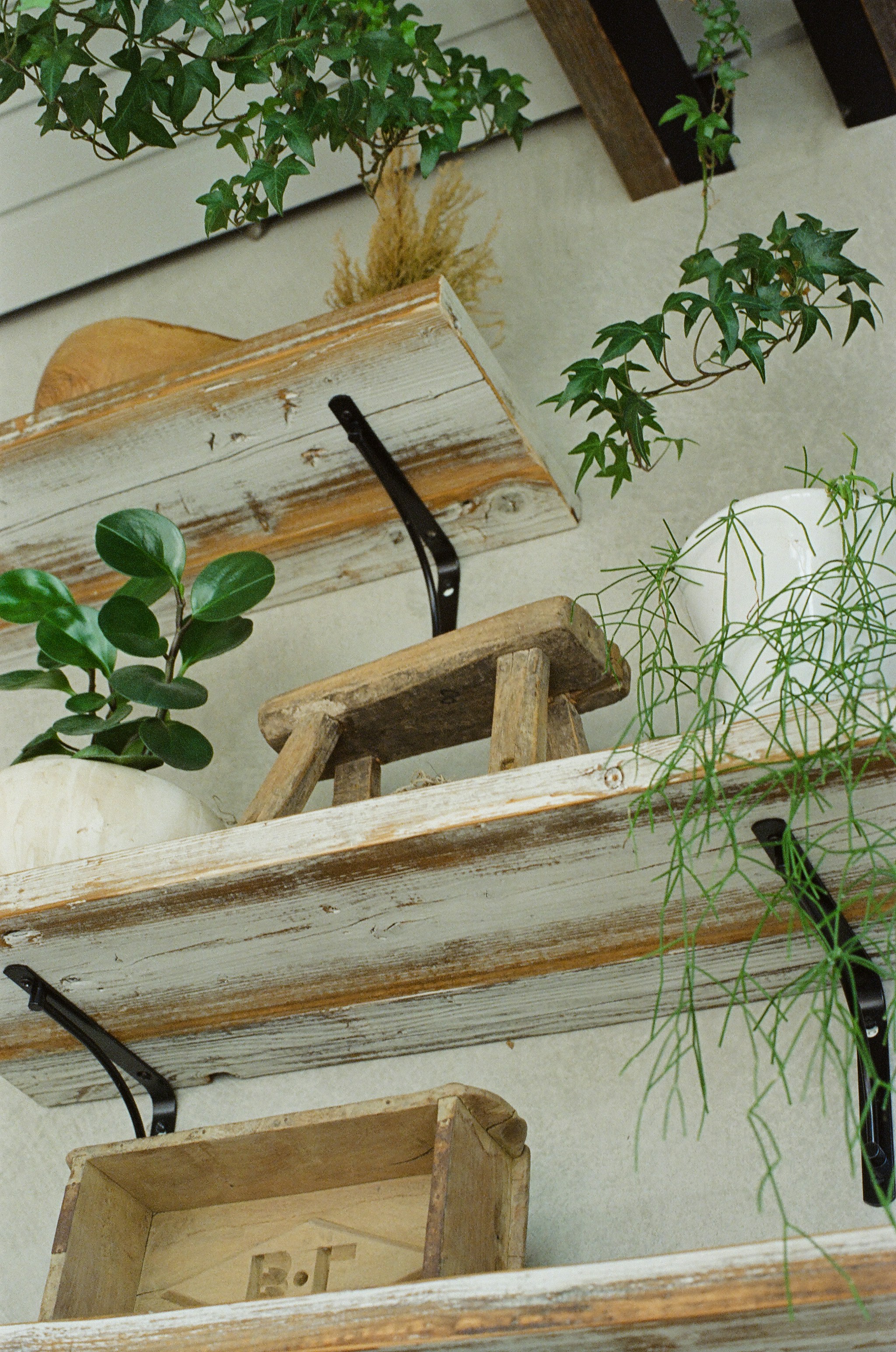 Installing Shelves (image credits: unsplash)