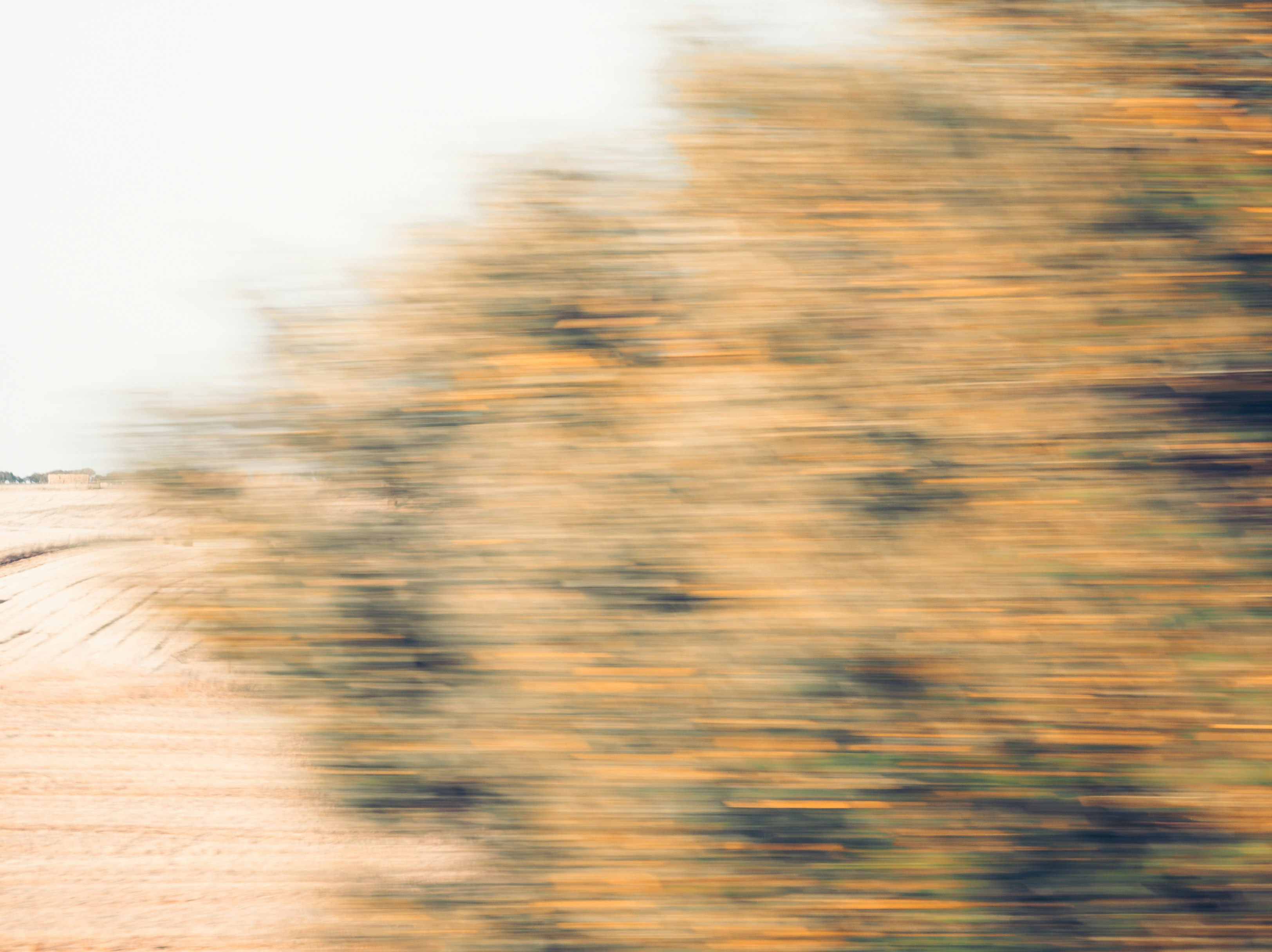 Photo by tiago_f_ferreira