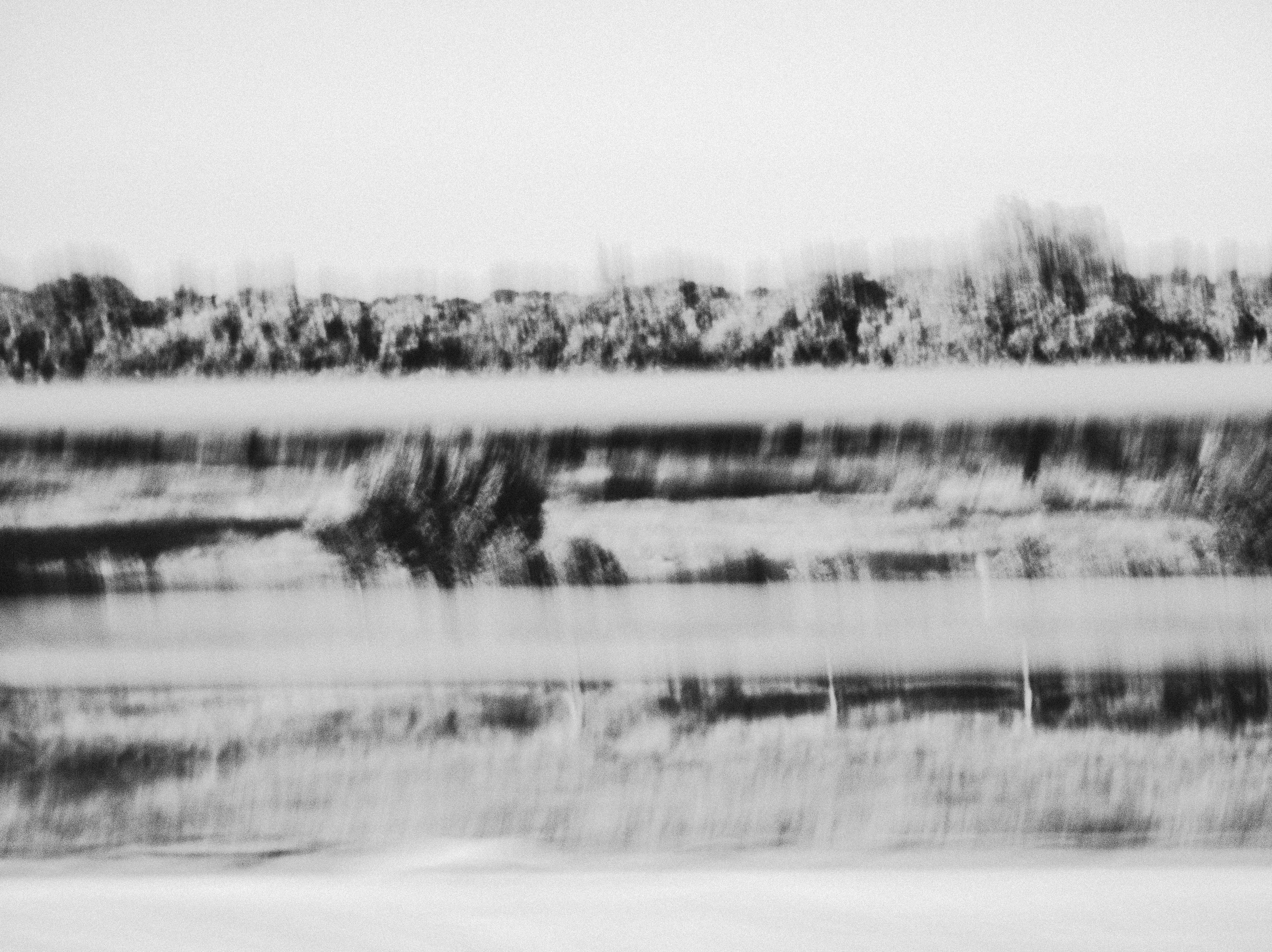 Photo by tiago_f_ferreira