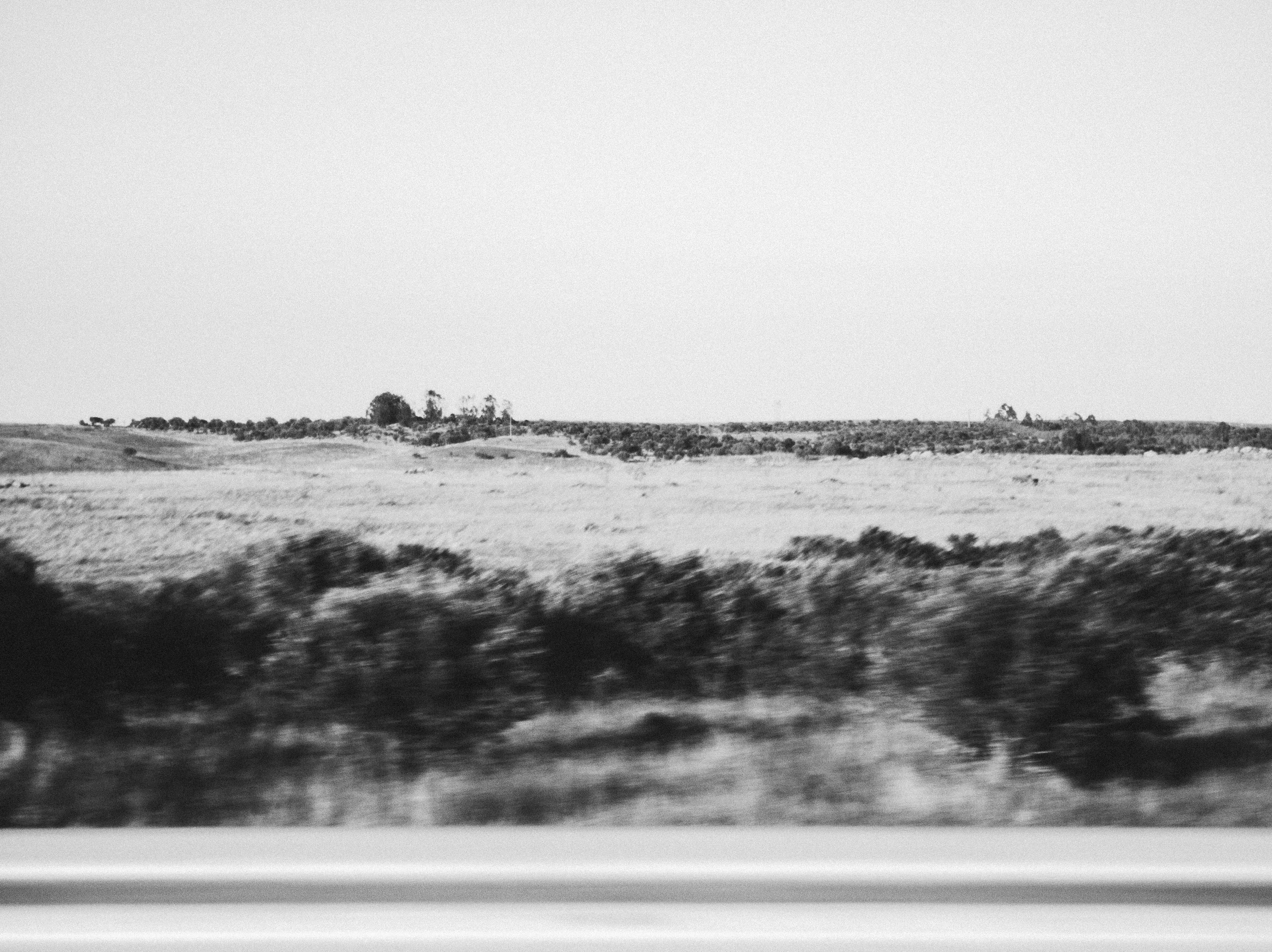 Photo by tiago_f_ferreira