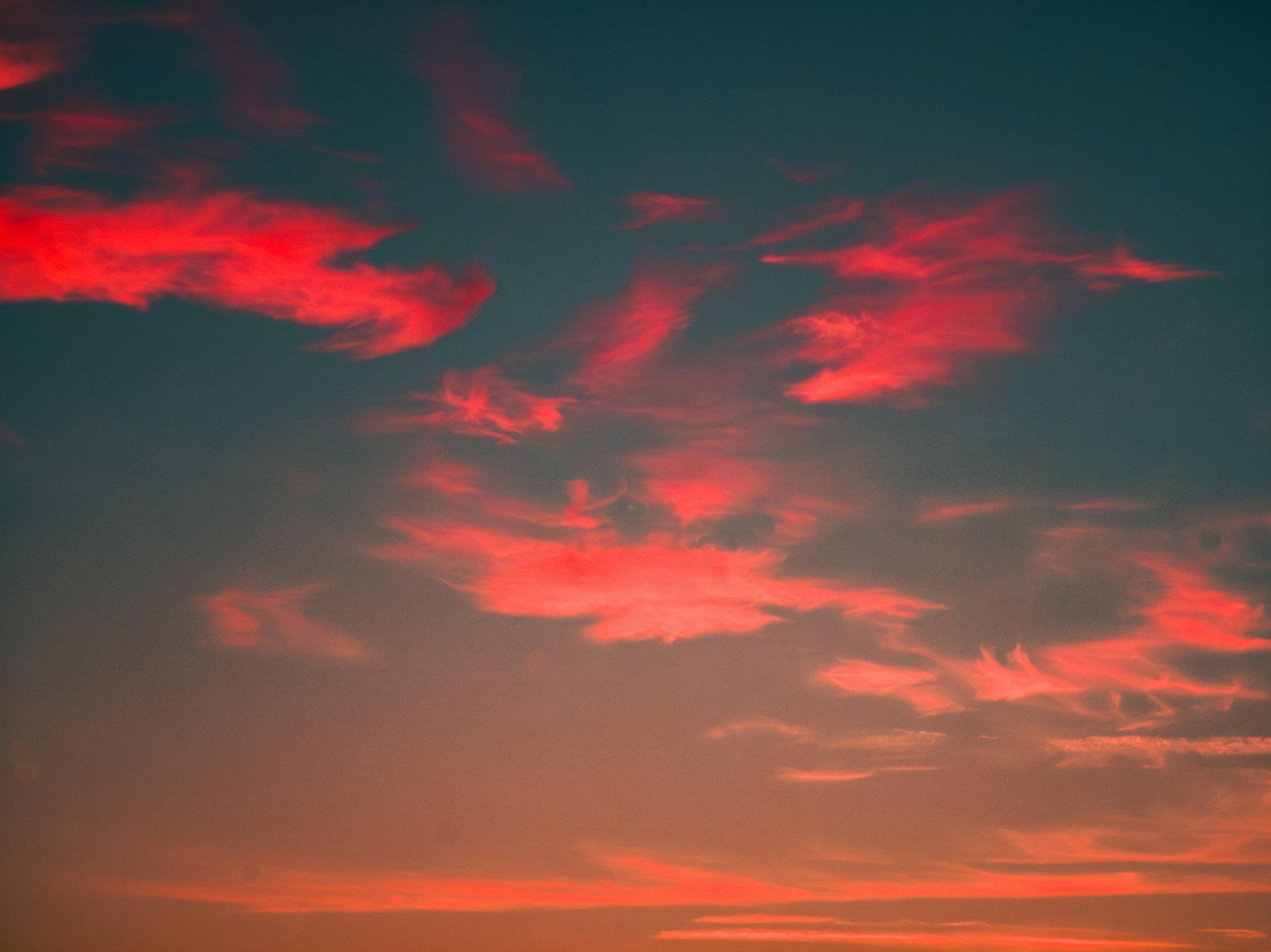 Photo by tiago_f_ferreira