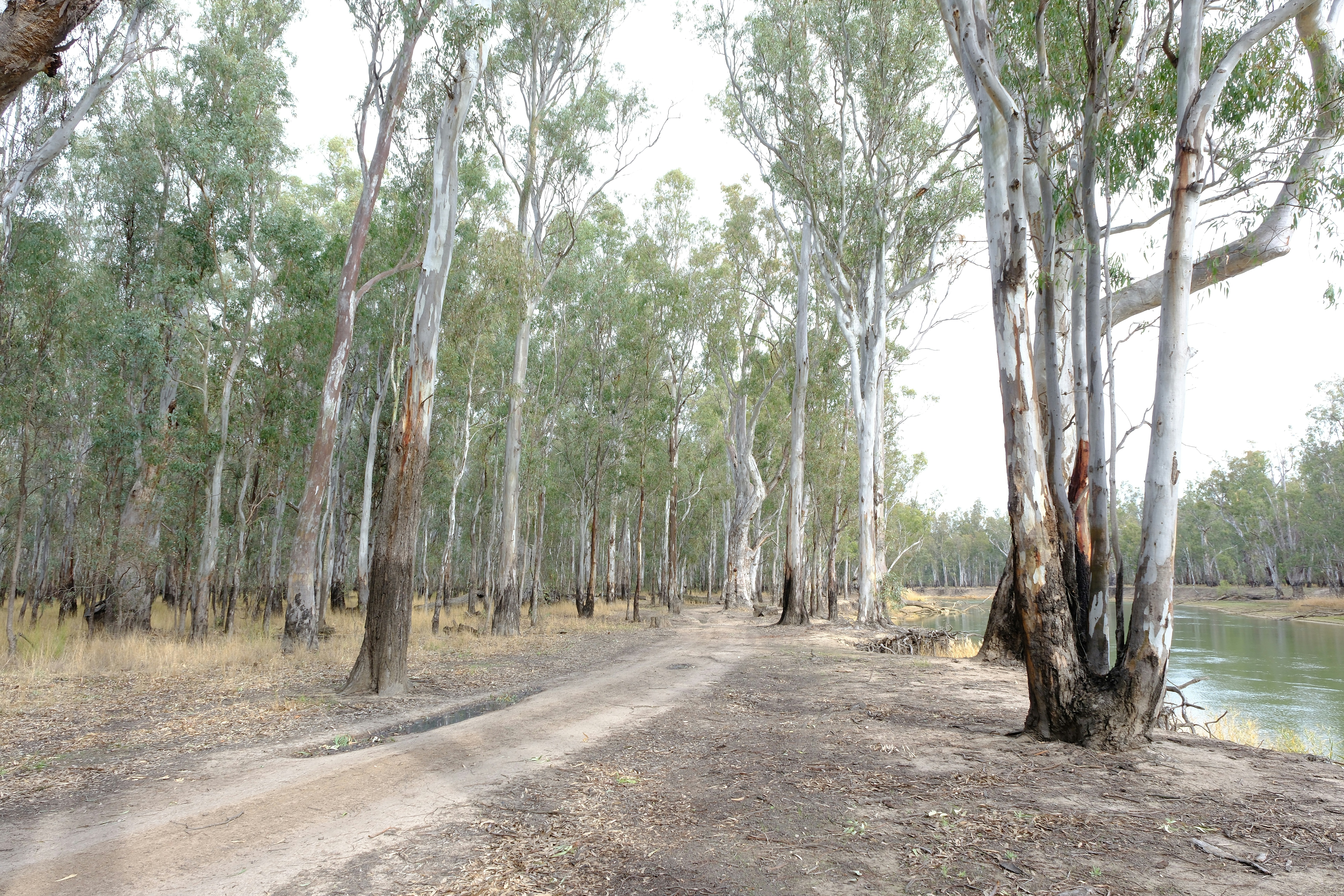 Gunbower, New South Wales