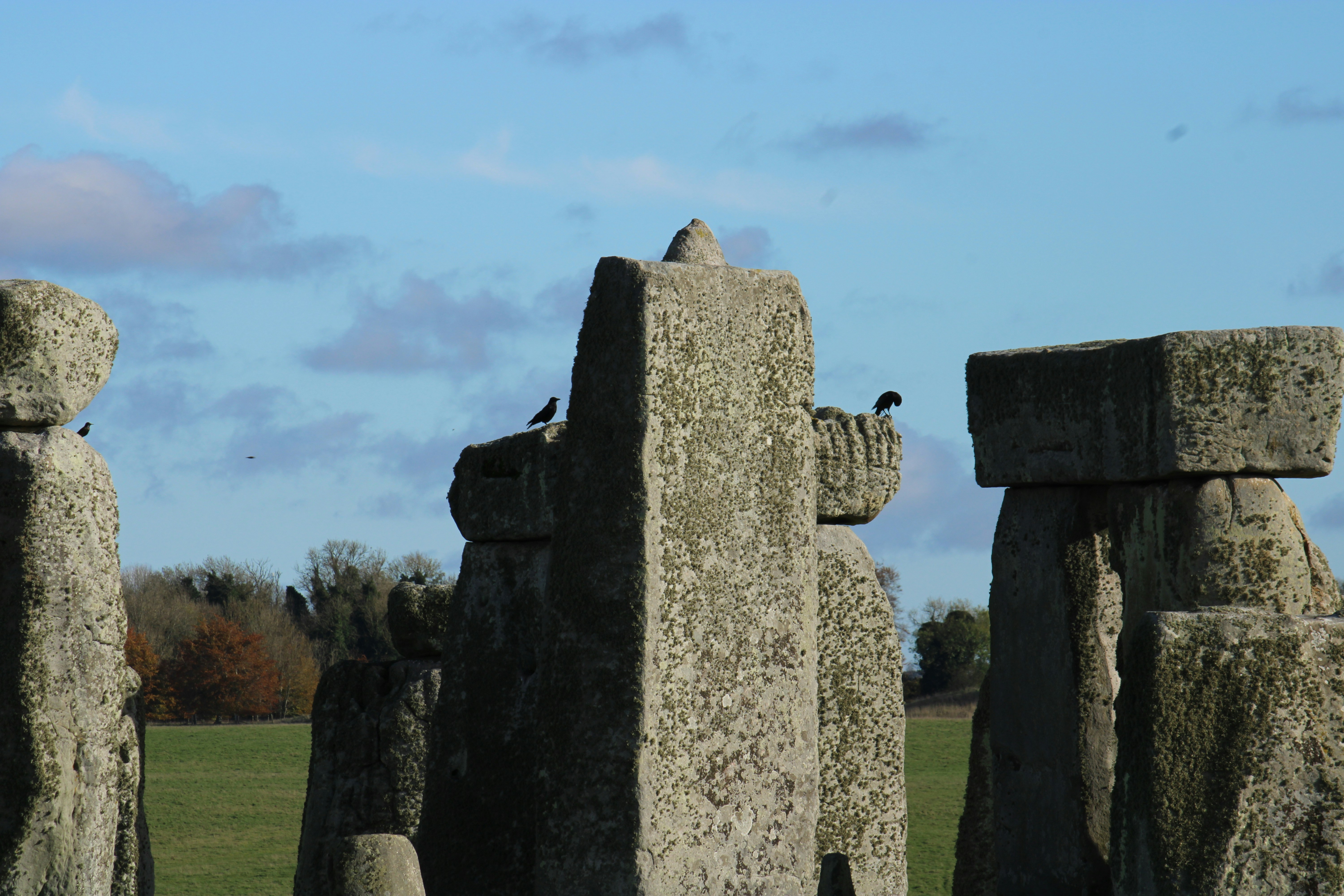 A group of stonehenge standing in a field