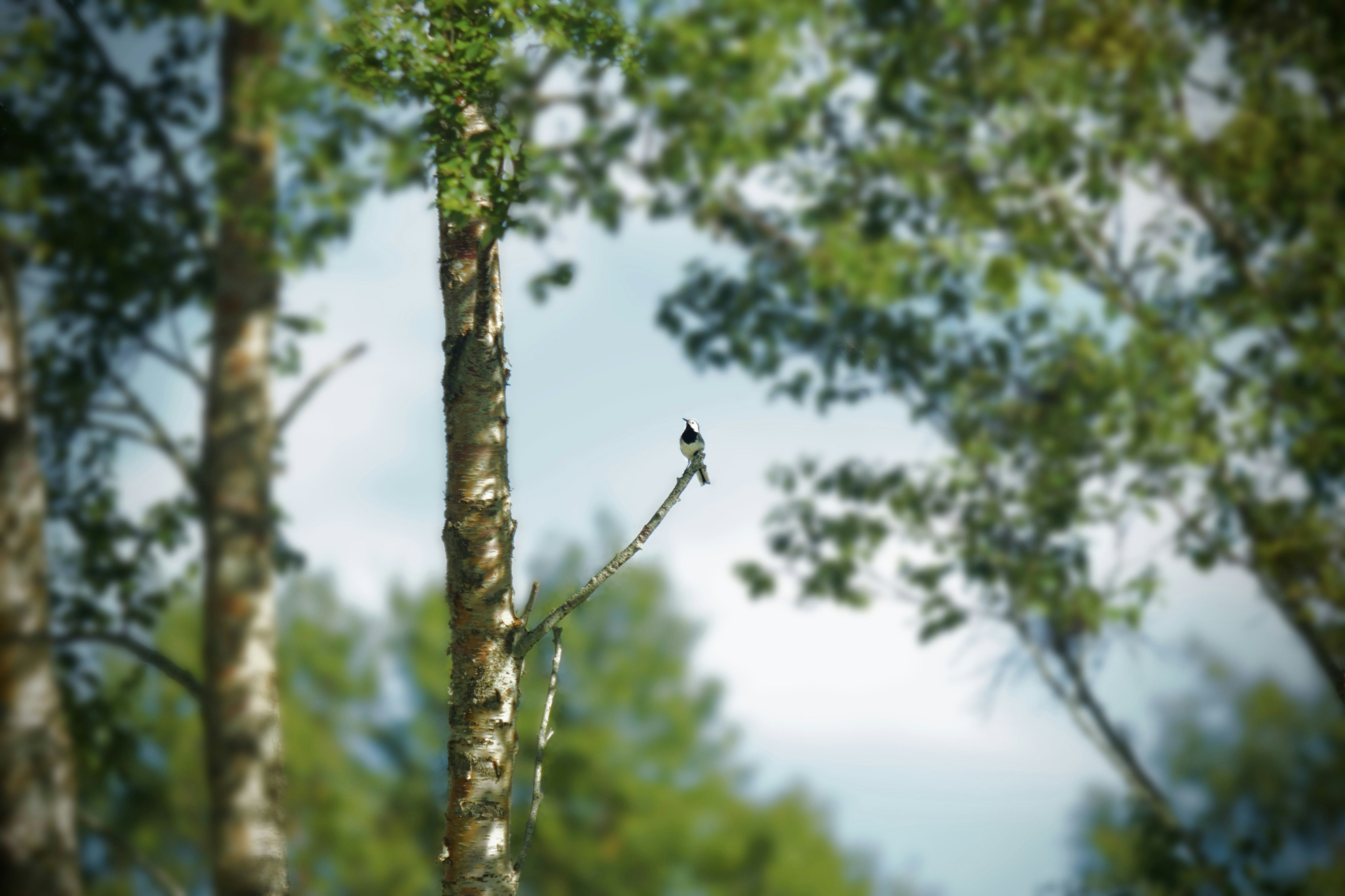 Photo by kristinokarlsen