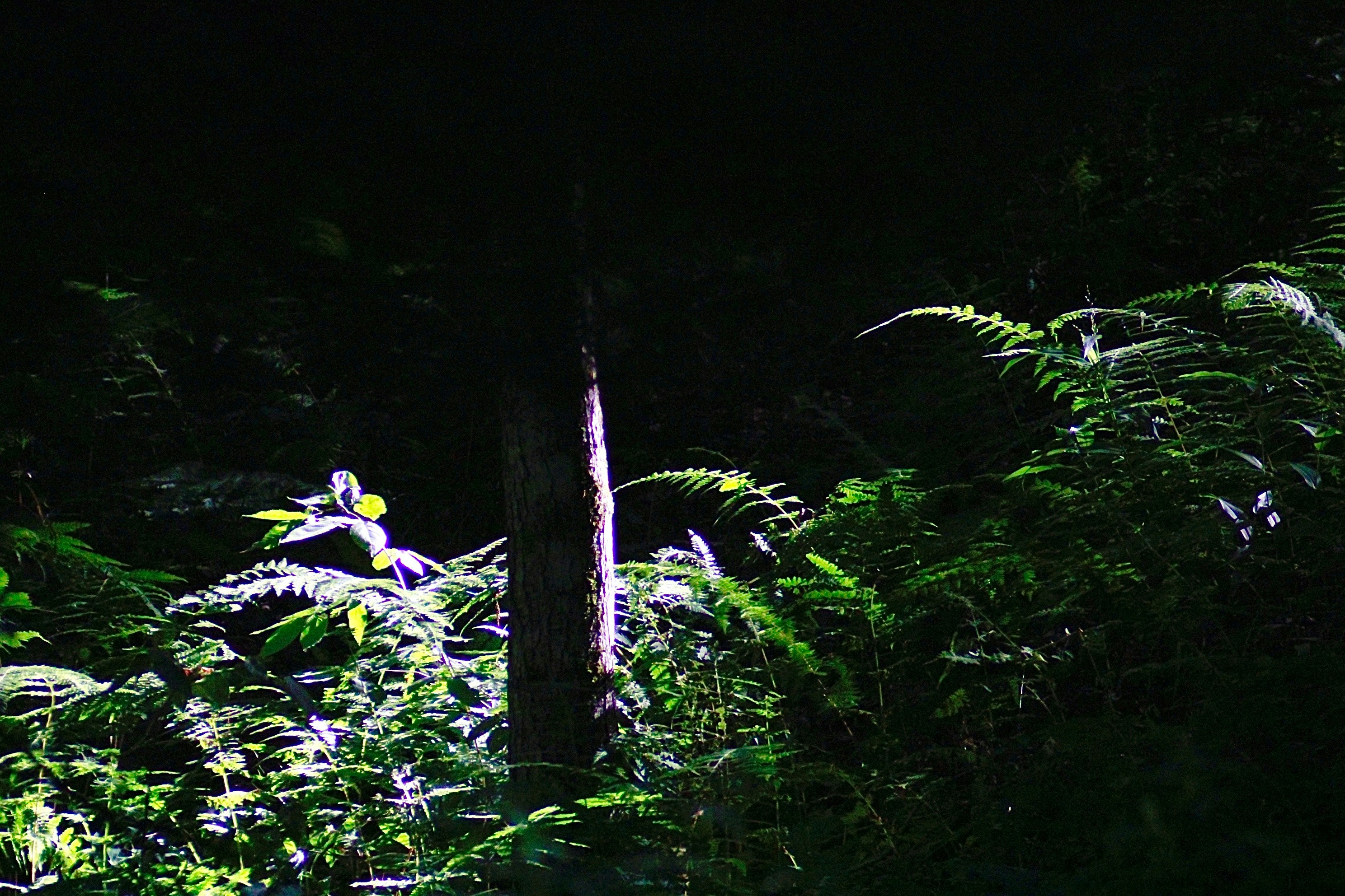 Photo by lisa_duqlaw