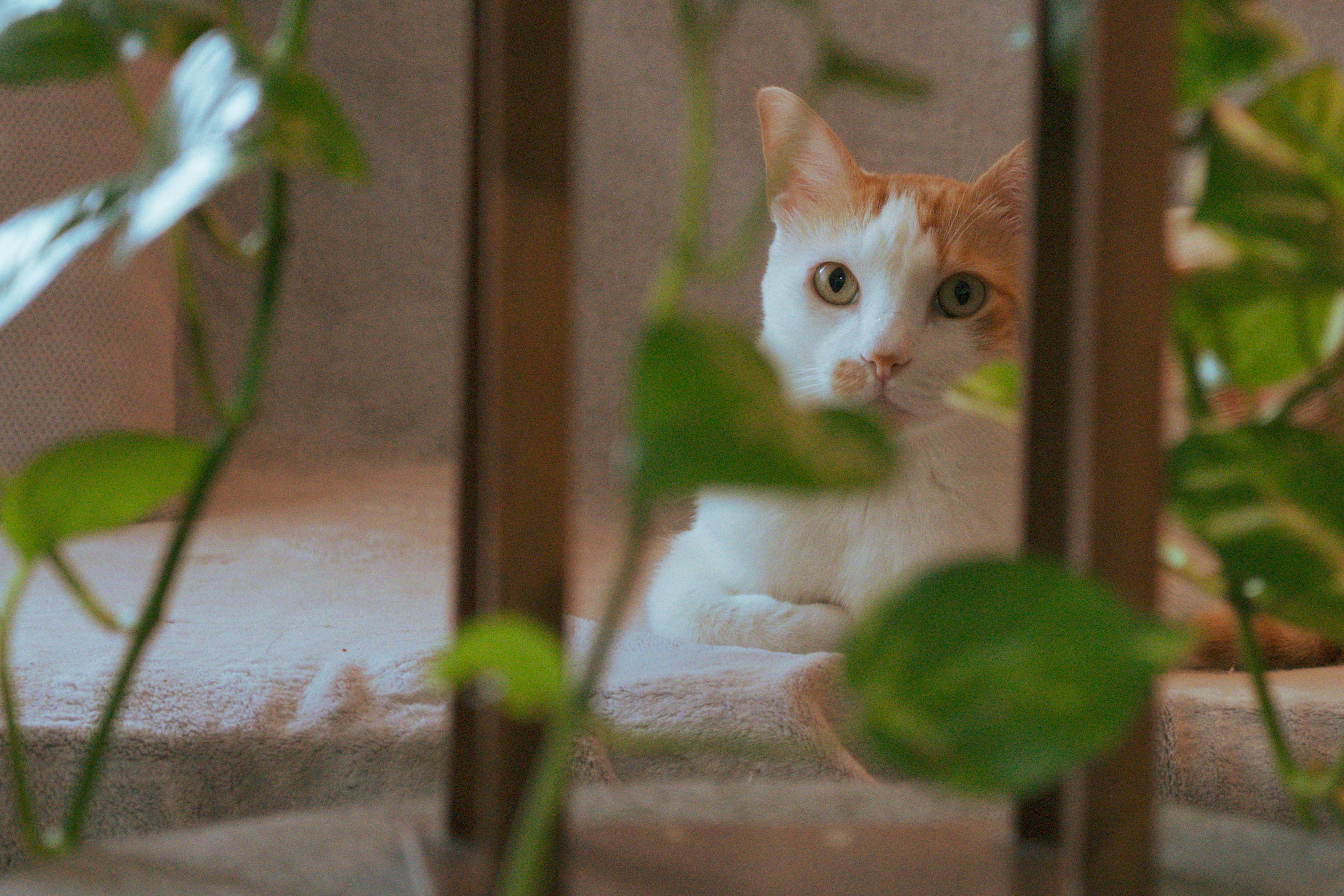 Photo by mizraw