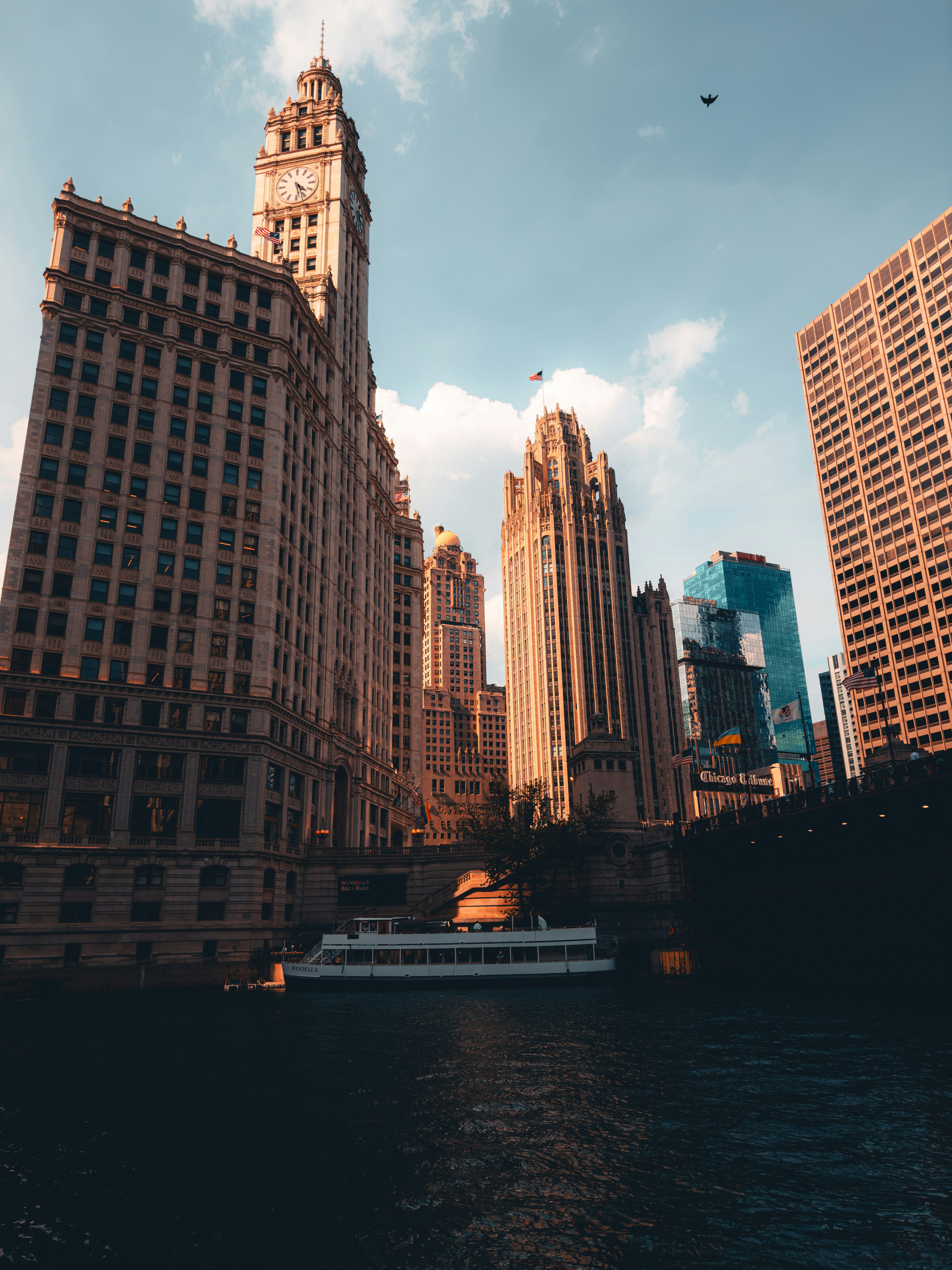 Photo by allenboguslavsky