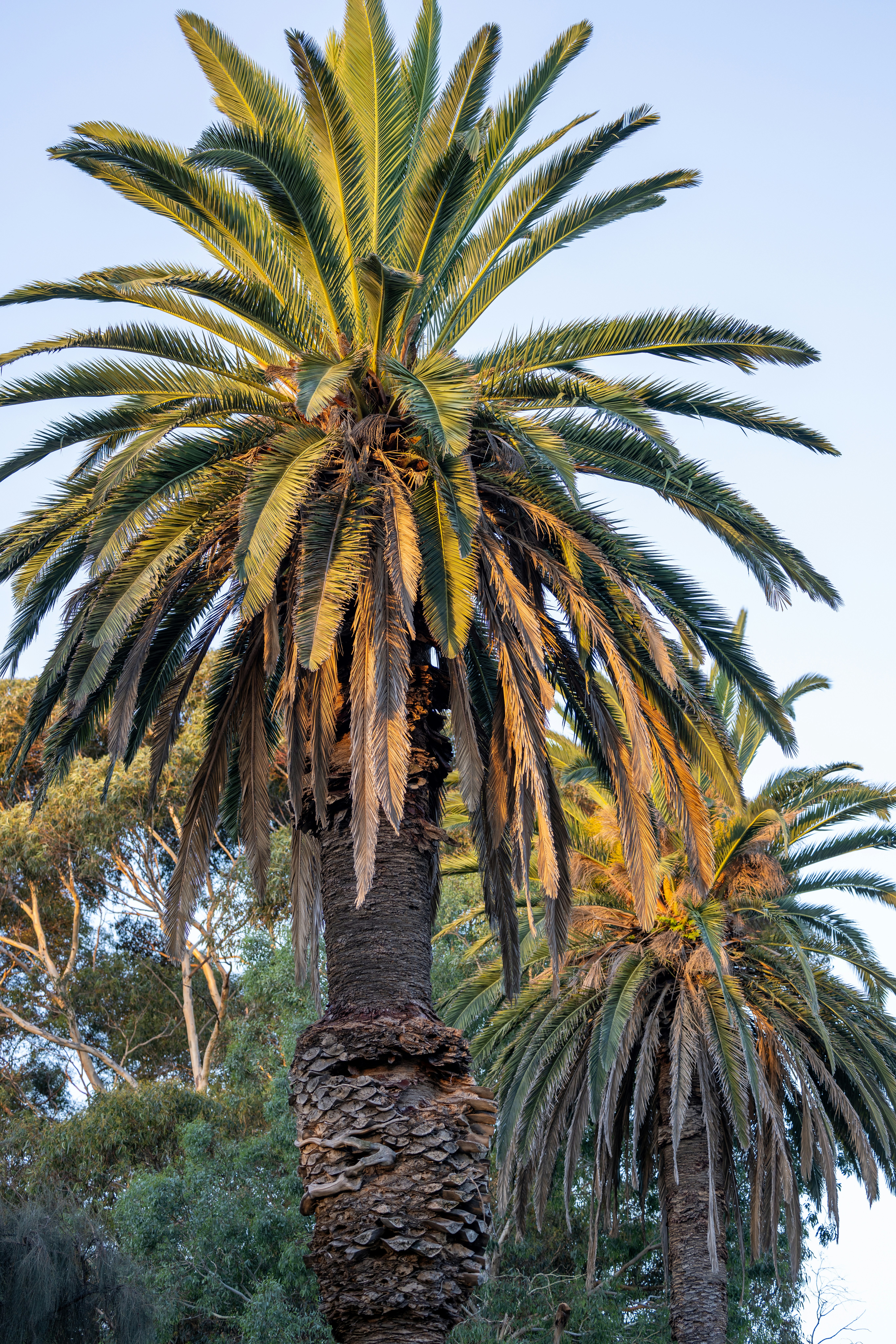 Photo by stephenmabbs