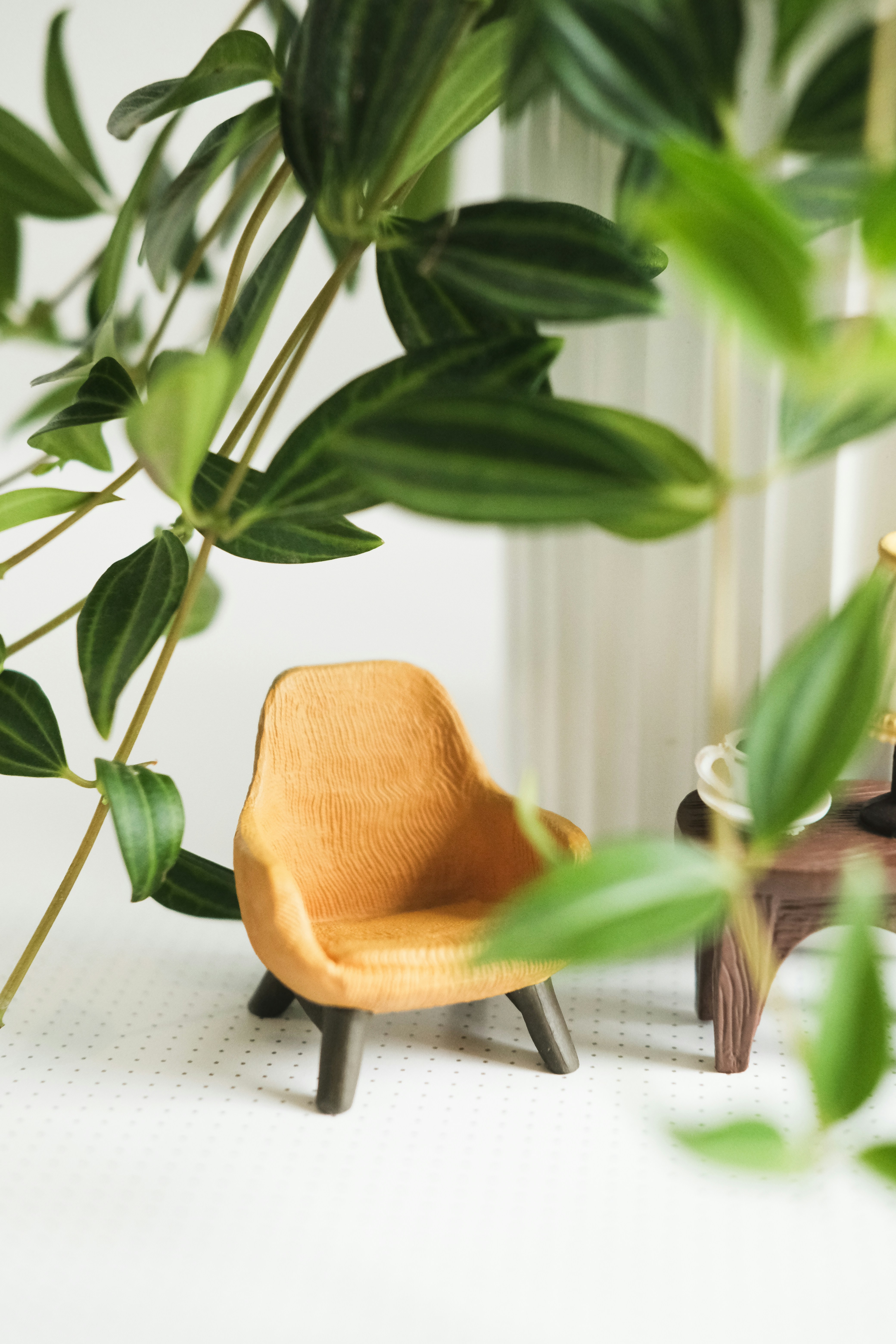 Photo by nganduong93