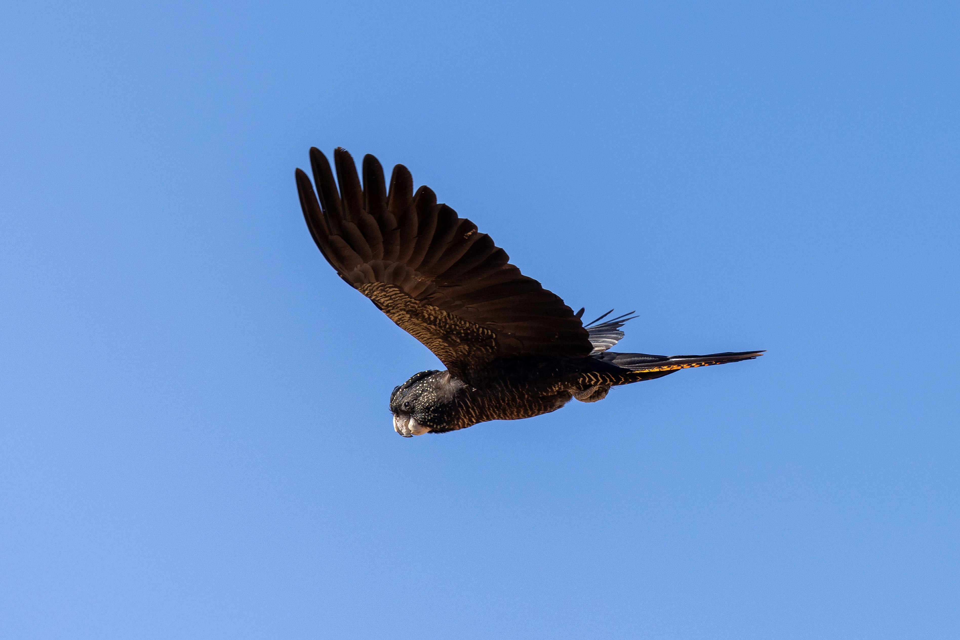 Photo by stephenmabbs